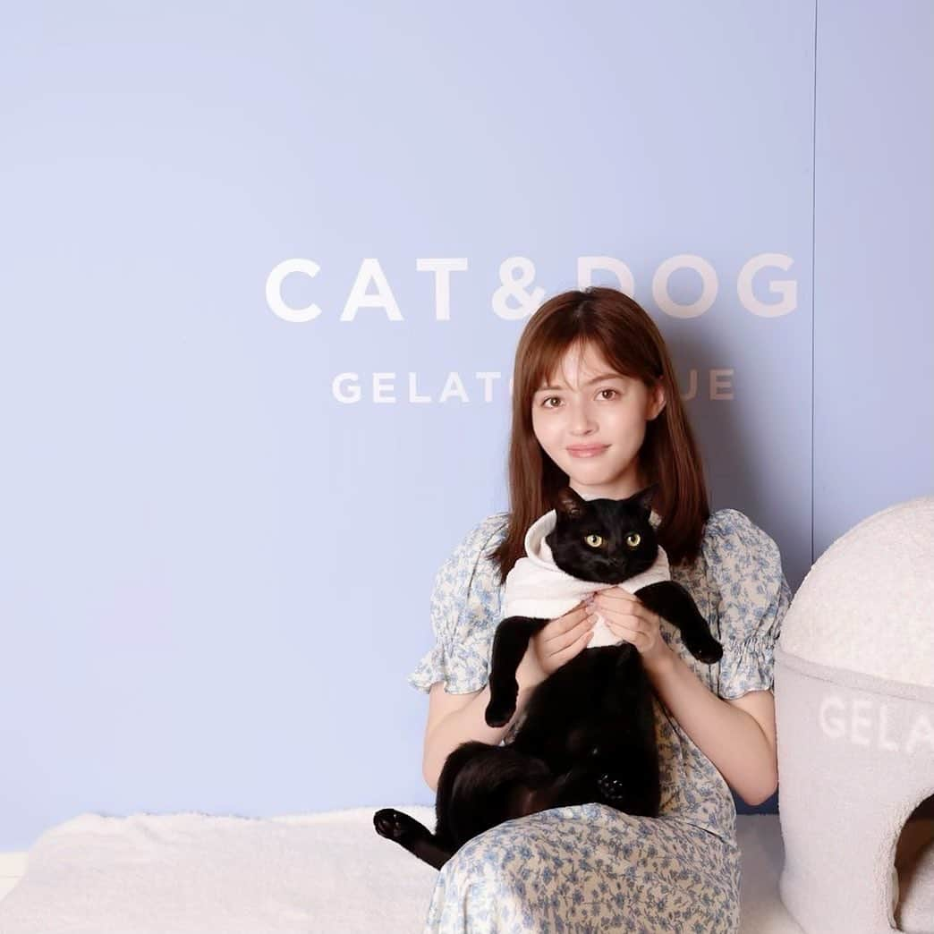 加藤ナナさんのインスタグラム写真 - (加藤ナナInstagram)「⁡ ⁡ ⁡  8.10（WED）START GELATO PIQUE CAT&DOG 🐾 ⁡ もこもこ、ふわふわ、なめらか。 夢の心地を、愛するキャット&ドッグにも。 暖かな着心地や包み込まれるベッドで 一緒に暮らす猫や犬をもっと幸せしたい。 そんな想いが込められたコレクション♡ ⁡ ネロさんはアイスクリームのベッドに ずっと入ってた😂🍨♡ ⁡ もこもこ、ふわふわ、なめらかな肌触りが ネロさんも私も大好きなので このコレクションは嬉しすぎます🫶✨ ⁡  ⁡ #gelatopique #ジェラートピケ #gelatopique_cat_dog #ジェラートピケキャットドッグ #猫グッズ #犬グッズ ⁡ ⁡」8月5日 17時06分 - katouchan