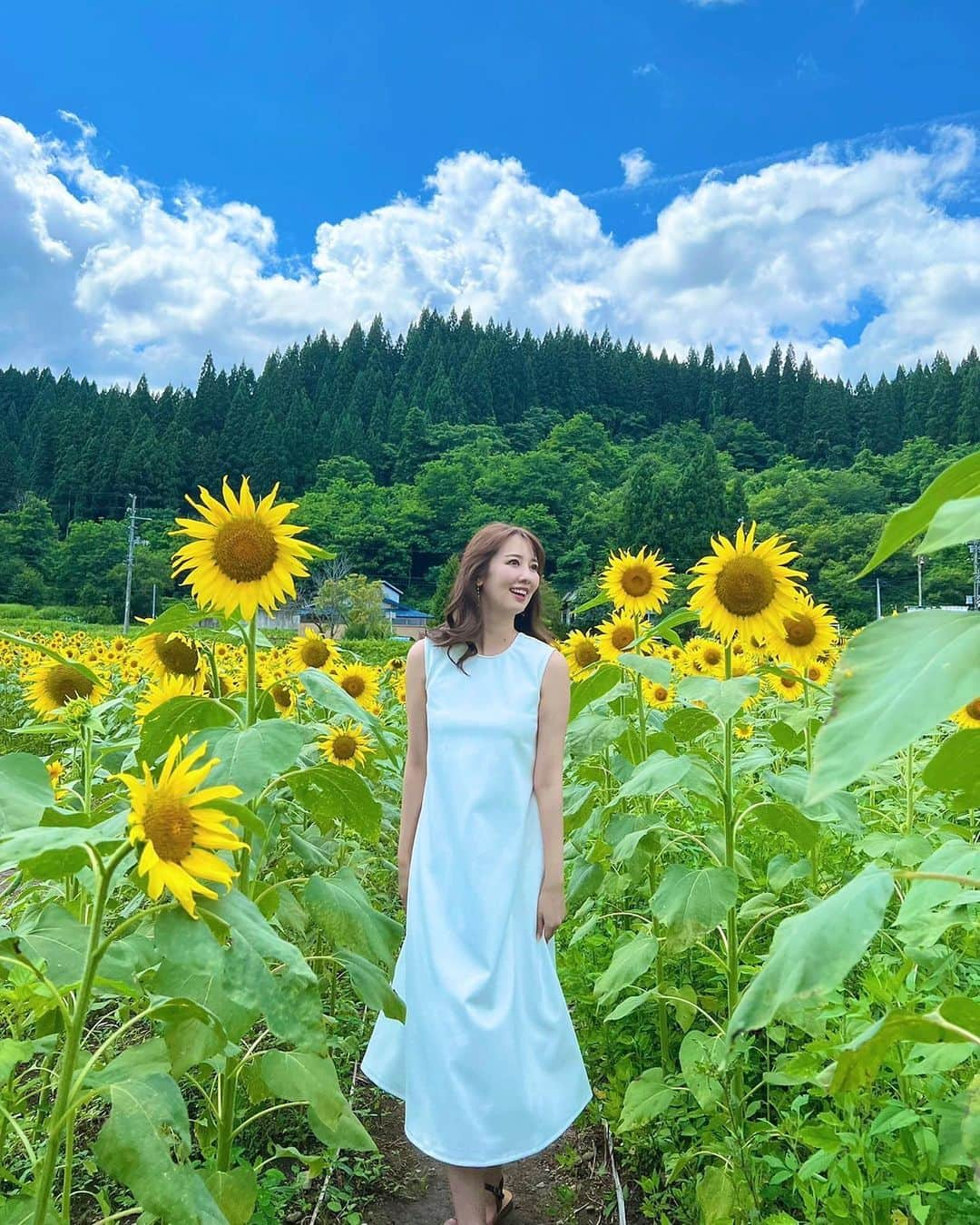 相場詩織さんのインスタグラム写真 - (相場詩織Instagram)「【北秋田市阿仁笑内 ひまわり迷路】 ⁡ 撮影で秋田内陸線 笑内駅前にある ひまわり迷路にお邪魔してきました🌻 ⁡ 約3万本の私の背丈くらいあるひまわりが 見頃を迎えていました✨ ⁡ 迷路として楽しめるようになっているのですが お子さんはもちろん、大人でも迷うくらい 夢中になって楽しめるようになっていますので 皆さん是非挑戦してみて下さいね🥰 ⁡ ⁡ ちなみにお昼は阿仁合駅内にあるこぐま亭さんで 夏メニューの冷やしうどんをいただきました🤤 ケーキやパフェなどカフェメニューもあるので おすすめです💐  @kitaakita_city   #東北旅行 #東北観光 #あきたびじょん #秋田観光 #秋田グルメ #鉄道 #鉄道旅 #旅行コーデ #旅好き #秋田内陸線 #花畑　 #秋田内陸縦貫鉄道 #笑内駅 #絶景 #絶景スポット #ひまわり #ひまわり畑 #ノースリーブワンピース  #白ワンピース #birthdaybash #ライトサマー」8月5日 21時35分 - shioriaiba0801