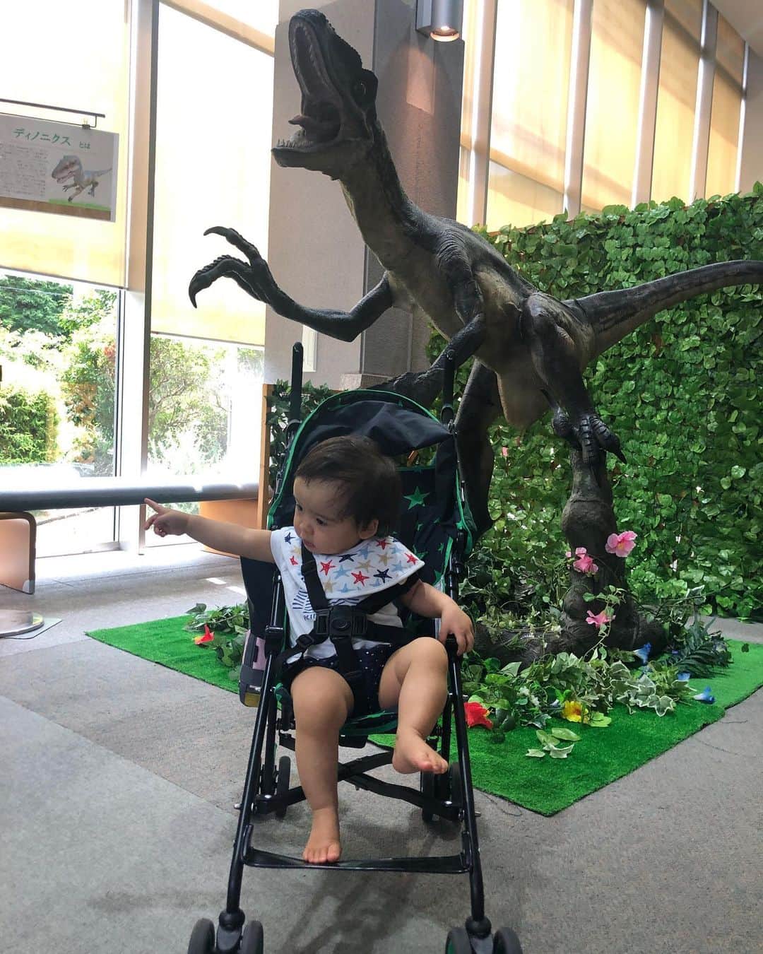 中野美奈子さんのインスタグラム写真 - (中野美奈子Instagram)「（再投稿になります💦） 週末は恐竜イベントへ🦕  お兄ちゃんが上映会に参加中、待ち時間に訳がわからないまま恐竜と記念撮影したら‥‥ 奇跡的におなじポーズ！！  毎日暑いから、屋内イベントで助かりました〜。 年長さんは恐竜より、木材を使ったマルチボックス作りが楽しかったそうです😊  #恐竜イベント #ダーウィンが来た  #上映会   #木材加工  #手作りボックス #お友達に会えて良かったね   #夏休み #熱中症ちゅうい⚠️   #赤ちゃんのいる生活  #中野美奈子」8月5日 23時46分 - minako_nakano.official