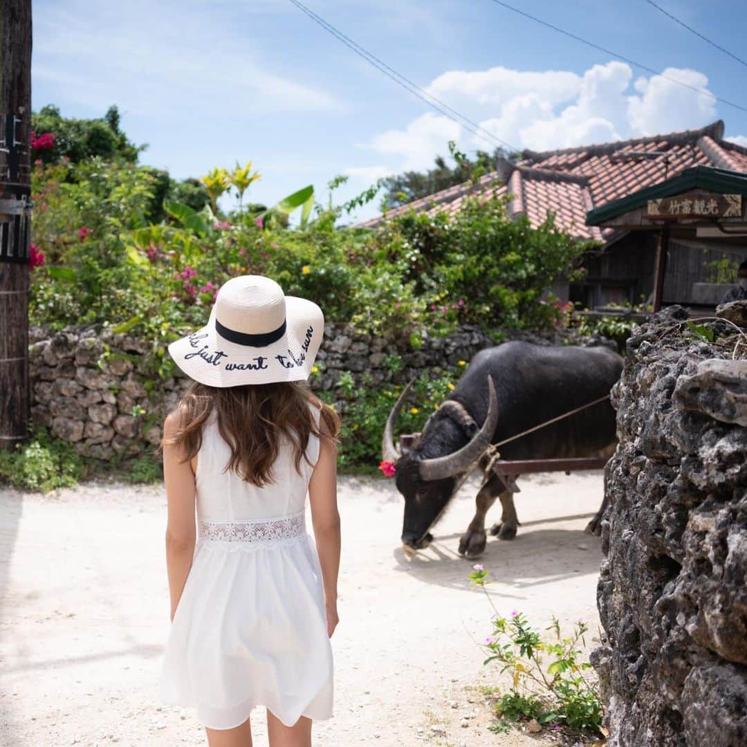 市原彩花さんのインスタグラム写真 - (市原彩花Instagram)「夏のお嬢さん🌺  #竹富島#石垣島#沖縄#taketomi#taketomiisland#ishigaki#ishigakiisland#ishigakijima#okinawa#okinawatrip#沖縄撮影#沖縄旅行#撮影#撮影会モデル#モデル#ポートレート#shooting#portrait#model#japanesegirl#japanesemodel#asianmodel」8月6日 18時45分 - ayaka_ichihara