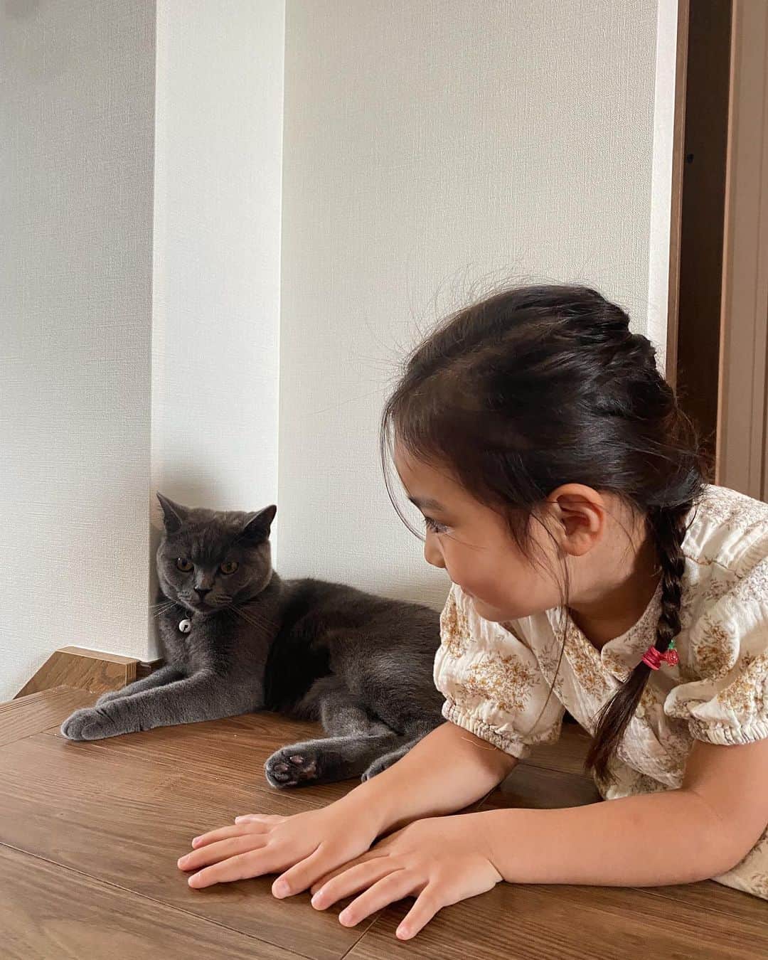 石塚絵梨さんのインスタグラム写真 - (石塚絵梨Instagram)「🐈‍⬛８月８日🐈‍⬛#worldcatday  我が家の猫ちゃんを紹介します🤍 ブリティッシュショートヘアの男の子〝エル〟 ４枚目の写真は、同じブリティッシュ の女の子〝ラテ〟です🐾☺️ エルは１歳、ラテは生後３ヶ月の赤ちゃんねこ🥰  ６年前愛猫を亡くしてから、 ずっと向き合えなかったけど、 生きているうちにまた猫ちゃんと 暮らしたいなと思うようになって、出会った2匹です☺️ 自由な猫ちゃんたちだけど、 毎日の癒し🥰娘も2匹が大好き👧 飼おうと決めてくれた主人にも感謝です🙇‍♀️🤍  世界の猫ちゃん、どうぶつたちが 幸せに暮らせますように願っています🐾  また載せますね💕💕💕  #worldcatday  #世界猫の日 #猫好きさんと繋がりたい  #ねこのいる生活 #ブリティッシュショートヘア #ブリティッシュブルー  #ブリティッシュブルークリーム」8月8日 17時54分 - ishi_eri1213