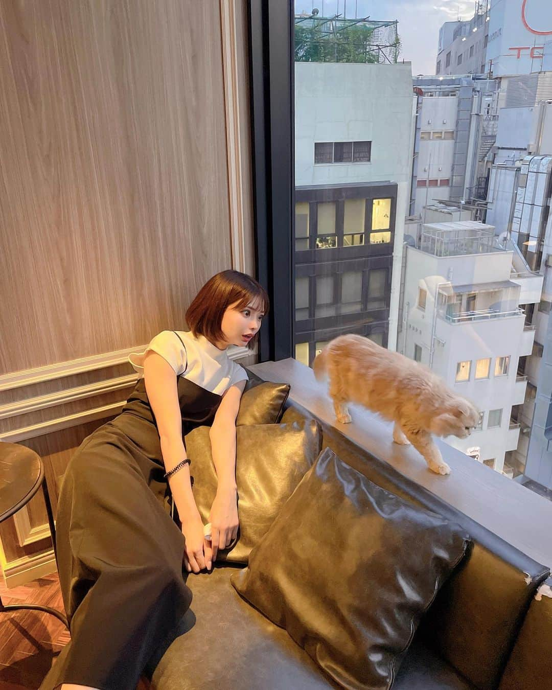 米倉みゆさんのインスタグラム写真 - (米倉みゆInstagram)「猫カフェ行きすぎて猫カフェの楽しみ方が独特な女(写真3枚目以降) · この勢いだとMOCHA都内全店舗制覇しそう🐱好きすぎる · · 渋谷のド真ん中にあって 比較的空いてて、1階と2階に別れてるタイプの店舗だったよ！ · · インスタフォローすると 飴ちゃんビックサイズにしてもらてるから毎回お願いしてる🐱とてもよい · · MOCHAは匂いもほんーーーとにしなくて、店内も清潔感あって 何時間でもいれます😌 · · · · · · #東京猫カフェ #癒されスポット #ねこのいるカフェ #渋谷猫カフェモカ #渋谷カフェ #猫カフェモカ #渋谷猫カフェ #天使 #子猫 #可愛い猫 #スコティッシュフォールド #癒し #癒し猫 #動物 #笑顔 #幸せ #可愛い女の子 #ショートカット #tokyo #shibuya #cat #kitty #smile #happy #japan #japanesegirl #japantrip #followforfollowback #likeforlikes #zoo PR」8月9日 9時39分 - yone__miyu630