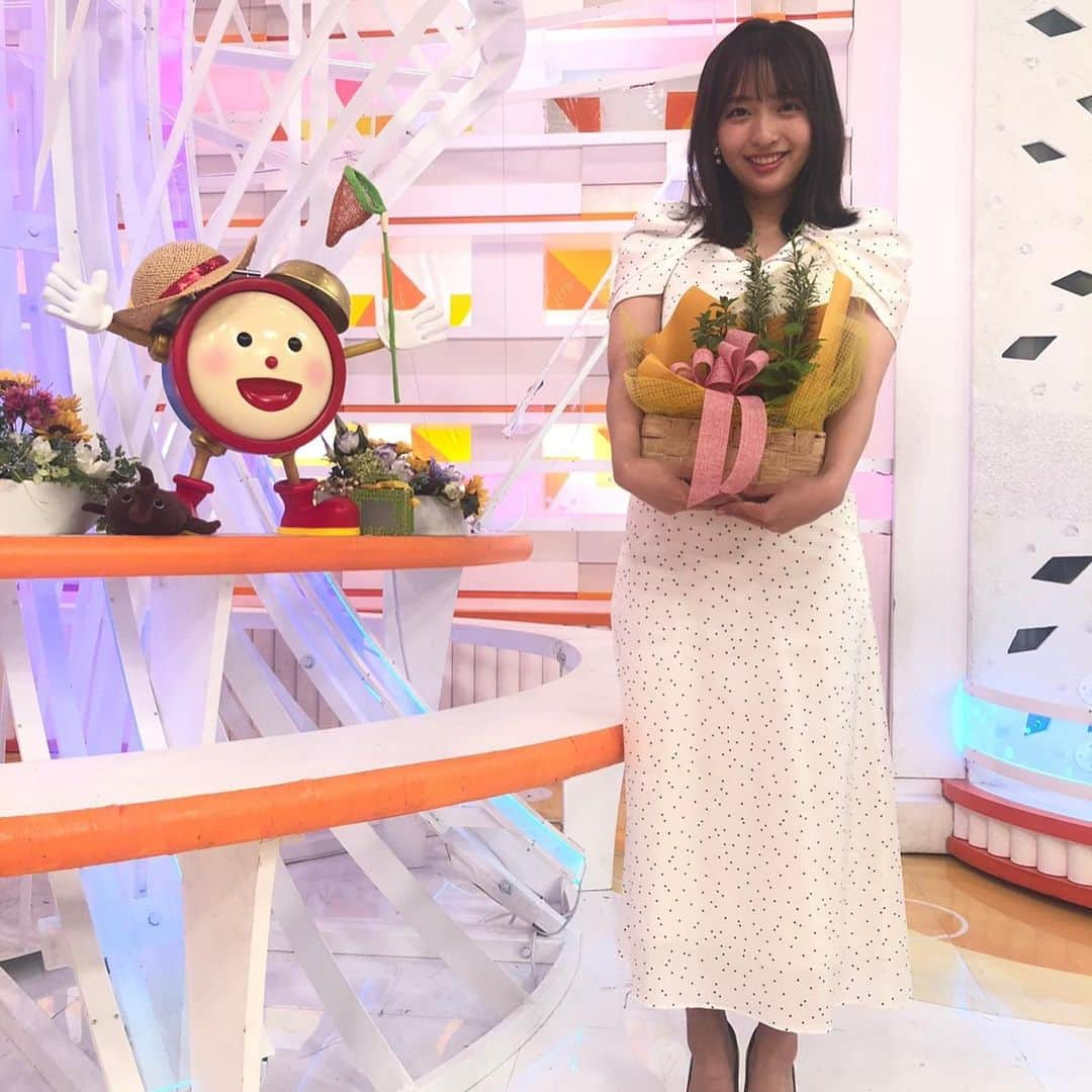 フジテレビ「めざましテレビ」さんのインスタグラム写真 - (フジテレビ「めざましテレビ」Instagram)「まりのです😊 今日紹介した「ストレリチア」は鳥に似ているということで、お花コーナーで鳥のモノマネをしたら、藤井アナに何とも言えない顔をされました😇🐥 それでもコーナー後には一緒に鳥ポーズで📸 先週は香りがいいハーブをご紹介しましたよ🌿」8月9日 14時08分 - mezamashi.tv