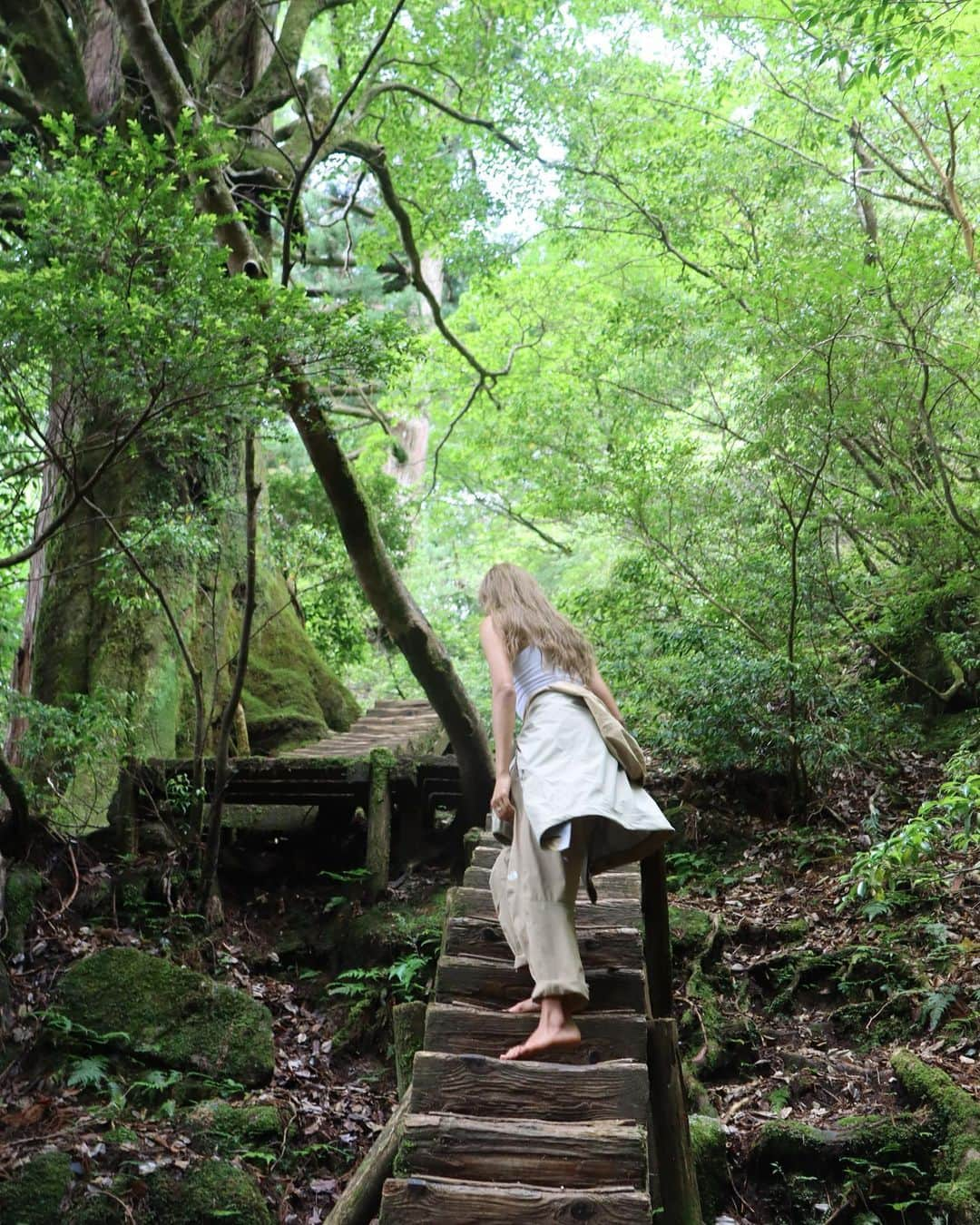 ローラさんのインスタグラム写真 - (ローラInstagram)「I took a trip to Yakushima to meet 7,200 year old Jomon cedar trees🌳🕊✨  日本にいるときに、約7200年も前から生きている縄文杉さんにあいたくて屋久島に訪れたよ🪨  まるでひいおじいちゃんのような愛いっぱいの優しさと温かさを感じたよ。　縄文杉さんありがとう🙏🌱」8月10日 7時02分 - rolaofficial