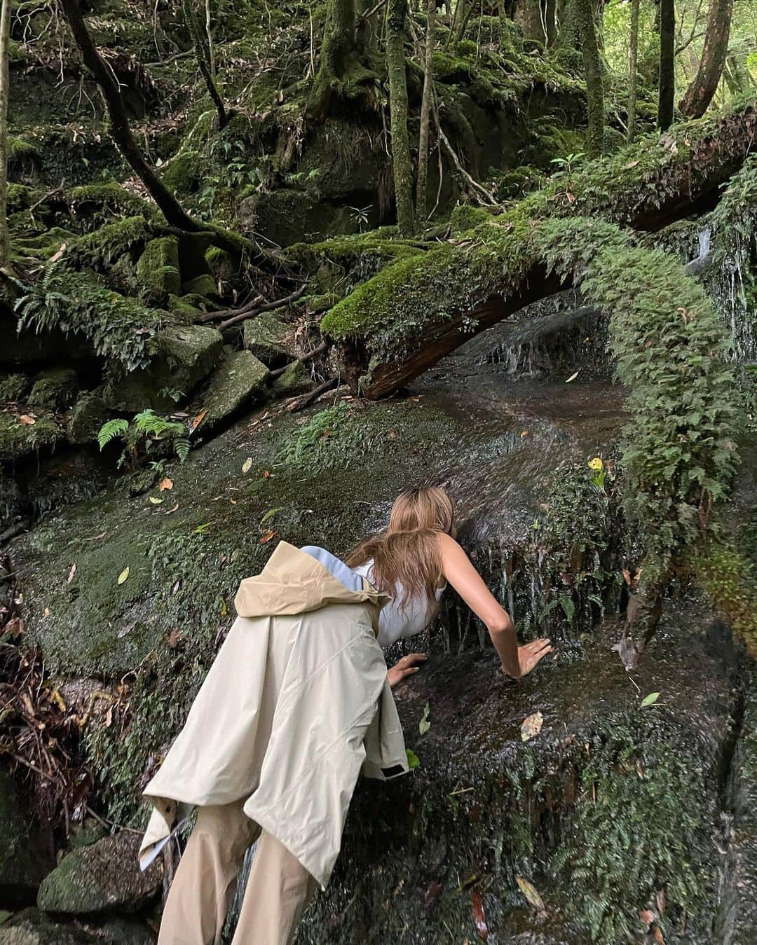 ローラさんのインスタグラム写真 - (ローラInstagram)「I took a trip to Yakushima to meet 7,200 year old Jomon cedar trees🌳🕊✨  日本にいるときに、約7200年も前から生きている縄文杉さんにあいたくて屋久島に訪れたよ🪨  まるでひいおじいちゃんのような愛いっぱいの優しさと温かさを感じたよ。　縄文杉さんありがとう🙏🌱」8月10日 7時02分 - rolaofficial