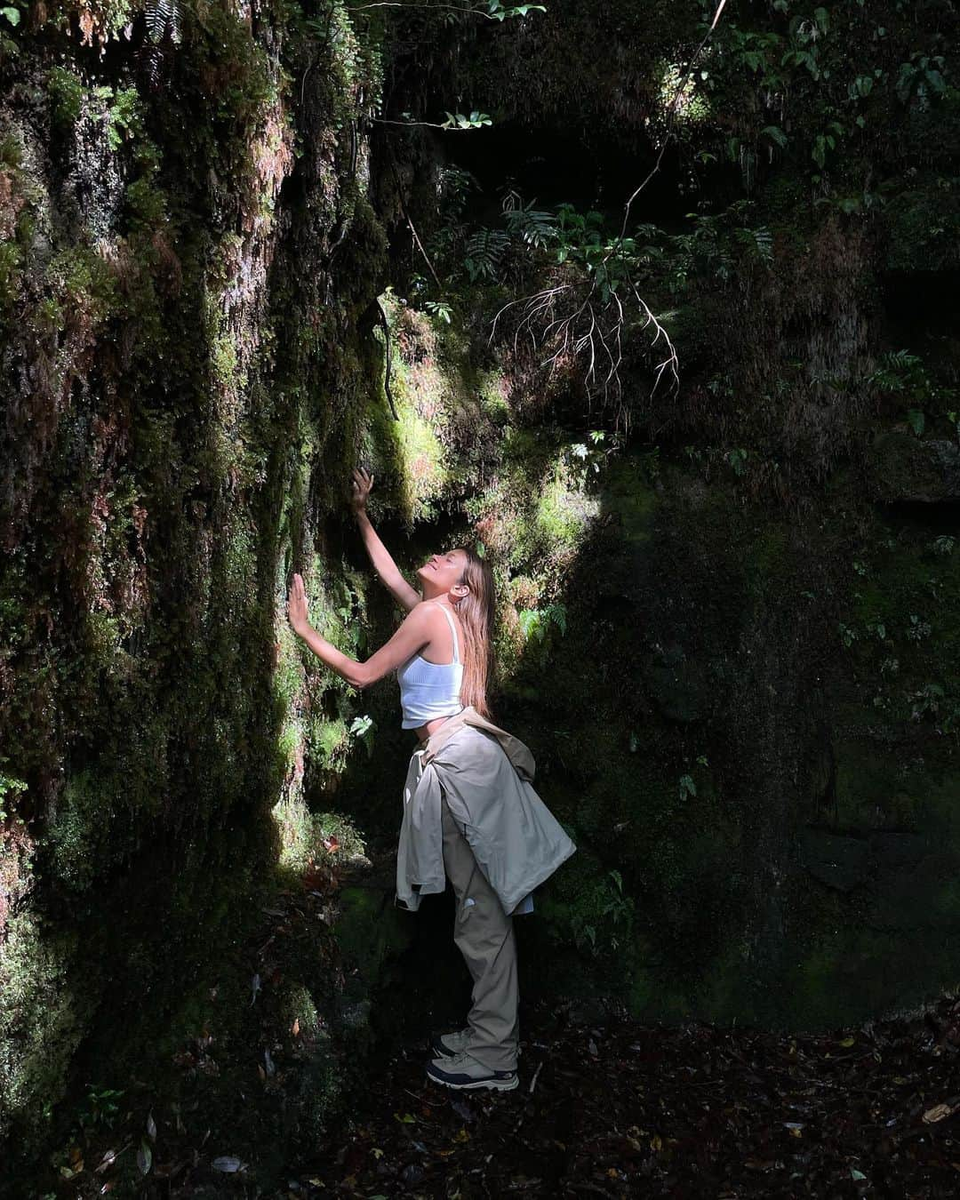 ローラさんのインスタグラム写真 - (ローラInstagram)「I took a trip to Yakushima to meet 7,200 year old Jomon cedar trees🌳🕊✨  日本にいるときに、約7200年も前から生きている縄文杉さんにあいたくて屋久島に訪れたよ🪨  まるでひいおじいちゃんのような愛いっぱいの優しさと温かさを感じたよ。　縄文杉さんありがとう🙏🌱」8月10日 7時02分 - rolaofficial