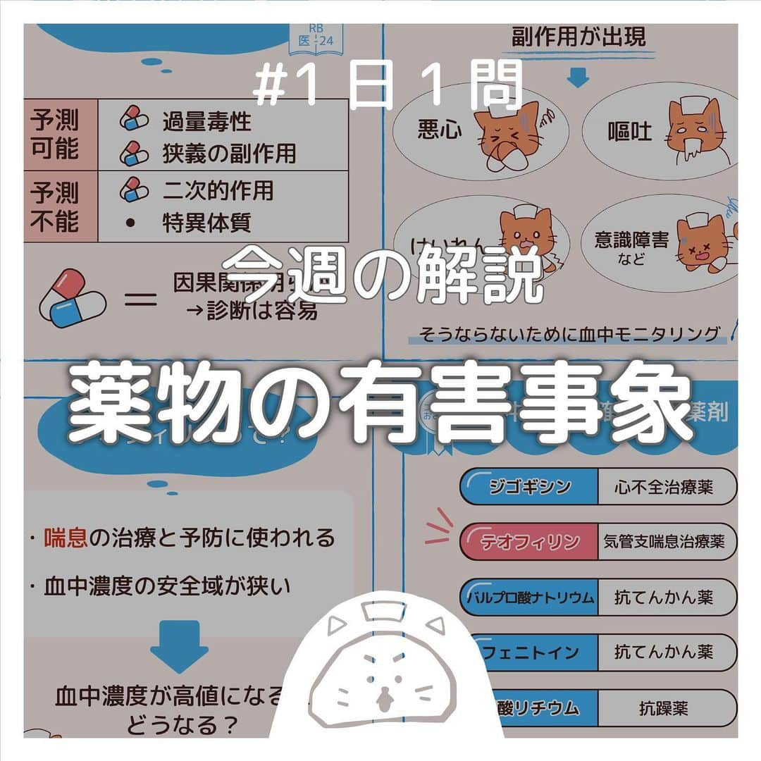 ネコナースさんのインスタグラム写真 - (ネコナースInstagram)「『薬物の有害事象』が今回のテーマです！  必修問題にも出された薬物の有害事象について一緒に整理しましょう！ 本日は血中濃度を確認する必要性が高い薬剤であるテオフィリン(気管支喘息治療薬)についてです💊 テオフィリン以外の薬剤も一緒に覚えていきましょう✊ レビューブック 医-24, クエスチョンバンク 医-25 も参考にして下さい🌹 . 必修問題対策には，必修専用の問題集『クエスチョン・バンクSelect必修』がおすすめです！  書籍『クエスチョン・バンク』や無料アプリ「クエスチョン・バンク」でも詳しい解説が載っているので、ぜひチェックしてみてくださいね🌟 . #看護 #看護学生  #看護師国家試験  #第112回看護師国家試験 #第113回看護師国家試験 #第114回看護師国家試験 #第115回看護師国家試験 #薬物の有害事象 #テオフィリン #勉強垢 #メディックメディア  #クエスチョンバンク  #レビューブック」8月10日 17時10分 - neco_nurse