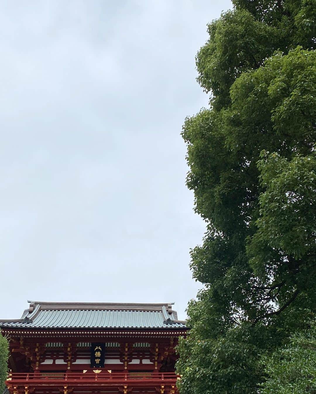 春香さんのインスタグラム写真 - (春香Instagram)「先日、大学時代からの友人を訪ねて、さっと鎌倉へ。  子どもが小学生にもなると、隙間時間にひとり時間を満喫できるようになります！  ランチだけの短い滞在でしたが、緑鮮やかな景色と、清々しい空気は、やっぱり東京とは違うのでリフレッシュできました😆  久しぶりの友人は、変わらずアクティブな女性で、同級生の安心感は何にも代え難いものです。  最近、気持ちをリフレッシュする為に積極的に行っているのが、意識的な場所の移動。いつもの活動圏内から少し外に出てみると、リフレッシュ効果がかなりあります。 コロナ禍での制限はありますが、家族や自分自身が心身共に健康である為には、何となくではなく、色々と意識して行動して行きたいなぁと思っています。  #鎌倉散歩#鎌倉ランチ#鎌倉観光 #春香#haruka#モデル#model#たくさん歩く#サンダル#fitfit#ワンピース#鶴岡八幡宮#はすのはな#ハス#japan#kamakura#kamakurajapan」8月10日 21時40分 - haruka__official