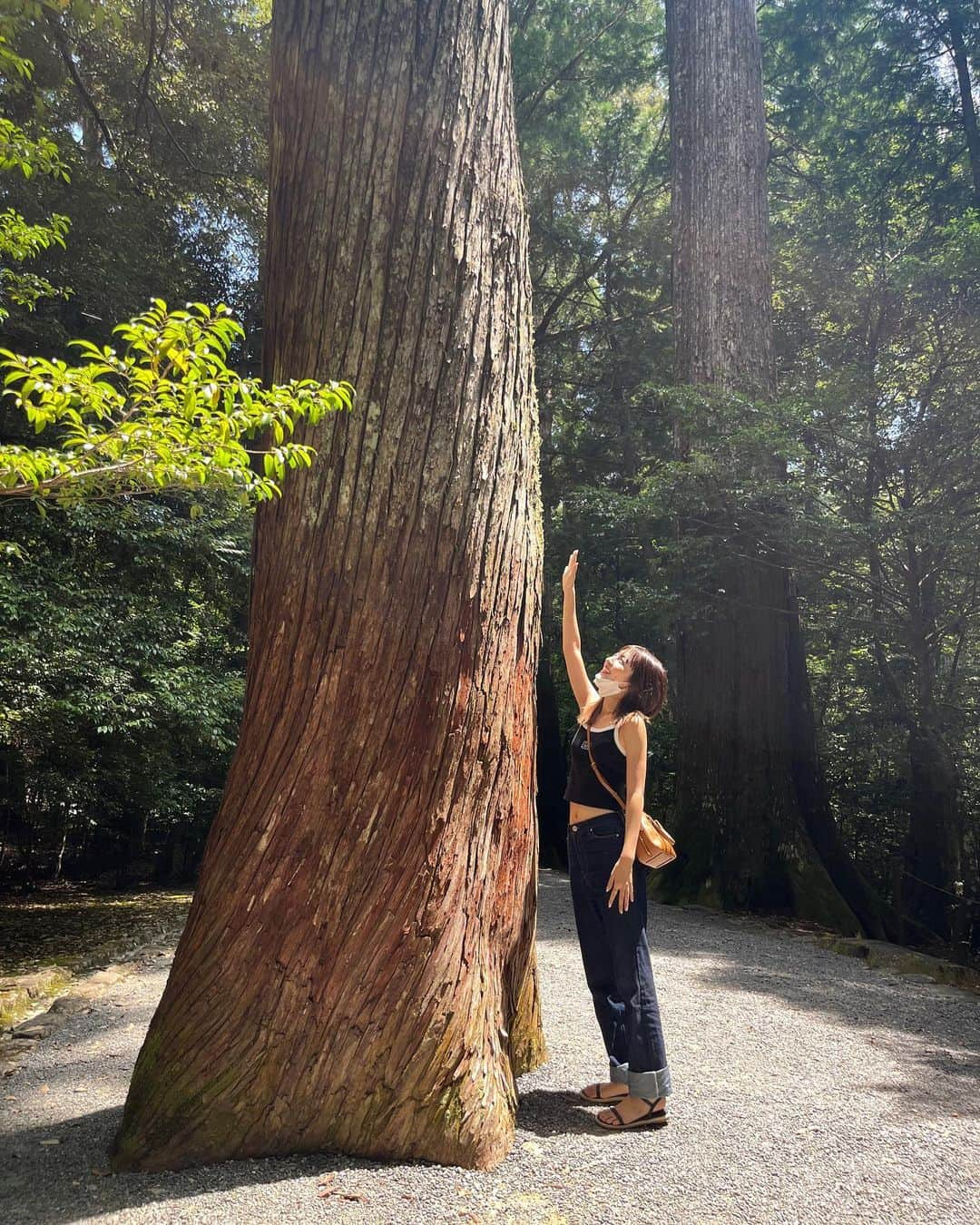 市野莉佳さんのインスタグラム写真 - (市野莉佳Instagram)「. 皇大神宮別宮　瀧原宮⛩ たくさんパワー吸収してきました~ . #三重県 #瀧原宮 #ねじれ杉 #りかりこ」8月10日 21時51分 - ichirika_62