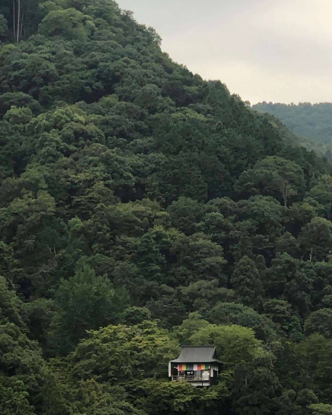 雨宮塔子さんのインスタグラム写真 - (雨宮塔子Instagram)「京都にて。  「お暑い中、観光していただいてありがとうございます」とタクシーの運転手さん。  たしかに毎日暑いです😵 でも、緑や竹林の中にいると一服の涼を感じます☺️  あらためて、日本は美しい国ですね。  #嵐山の屋形船 #船遊び #大河内山荘庭園」8月11日 0時31分 - amemiya.toko