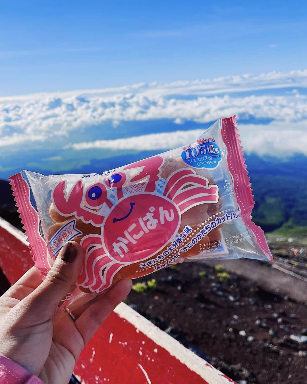 吉田知那美さんのインスタグラム写真 - (吉田知那美Instagram)「・ Mt.FUJI / 3776m  富士山はすごく美味しかったです🏔 ・ 富士宮ルートの萬年雪荘のみなさんは優しく迎えてくれて、とっても気持ちの良いモーニングコーヒーを頂きました☕️ 御殿場ルートの砂走館では、山小屋のお母さんが作ったじゃがいもを使った美味しい懐かしい熱々のカレーライスを頂きました🍛疲労が取れて身体にエネルギーかえってくるカレーライスでした。  トレーニングと栄養の実地実験、富士登山。 とても良い勉強になりました🏔 登山前、中、後と適所でアミノバイタルとアミノバイタルパーフェクトエネルギーゼリー等を摂っていたので、 今朝も特に疲労感は無く、今日も元気にトレーニングできそうです🫶🏔 回復力サポート大事❤️‍🩹  #富士山 #登山 #climbing  #training #トレーニング #アミノバイタル @aminovital_jp #萬年雪荘 @mannenyuki_mt.fuji #砂走館」8月11日 14時25分 - chinami1991