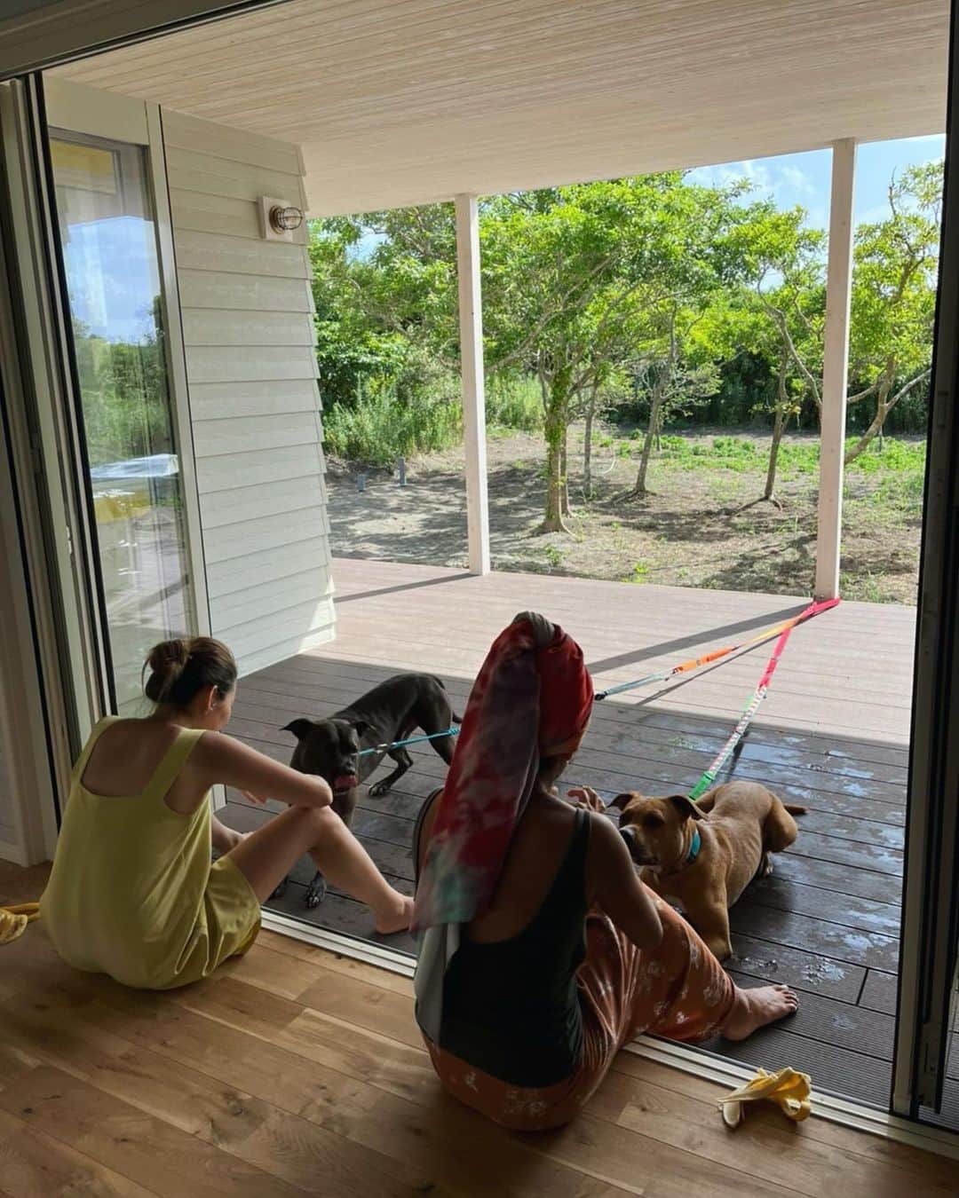 清宮佑美さんのインスタグラム写真 - (清宮佑美Instagram)「1day夏休み🌺 長いお休みは特に取ってないけど 久しぶりに家族でsurf day🏄🏽‍♀️🏄🏾‍♂️🏄🏾 めちゃくちゃ波良かった😍🌊✨ 胸肩ファンウェーブでほぼ貸切！ お盆初日とは思えぬ！！！✌🏾 ツインフィンが楽しすぎた〜🤤🫶🏽 千葉南は海水も温かくて @glassysea_official のラッシュ水着がピッタリでした🩱✨   最近全然インスタ投稿できてなかったから 遡って投稿したいのたくさんある😵‍💫思い出が駆け足すぎる🏃🏾‍♀️  #お盆休み #家族surf #サーフィン #glassysea #夏休み #barukona #ツインフィン」8月11日 21時31分 - yuumi_seimiya