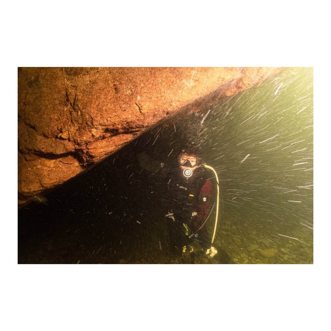 木村文乃さんのインスタグラム写真 - (木村文乃Instagram)「*** 先日女川に潜りに行こうとしたものの その時は台風の影響で クローズになってしまったんです。 それなら山に登って川に潜りましょう！ と、#栗駒山 登山 と #秋保大滝 & #秋保温泉 を楽しむ旅 になったのですが  海と川はこんなに違うのか！ という景色、浮力、流れの違いに かなりアドレナリンが出ました。  潜っていたらお日様が出て 光が差してくれたこともあって 川の中から見上げる滝は とても神秘的な色をしていました🤭  #宮城県 #仙台 #女川町 #宮城ダイビングサービスハイブリッジ  (@highbridge1 )」8月12日 6時36分 - uminokimura_official