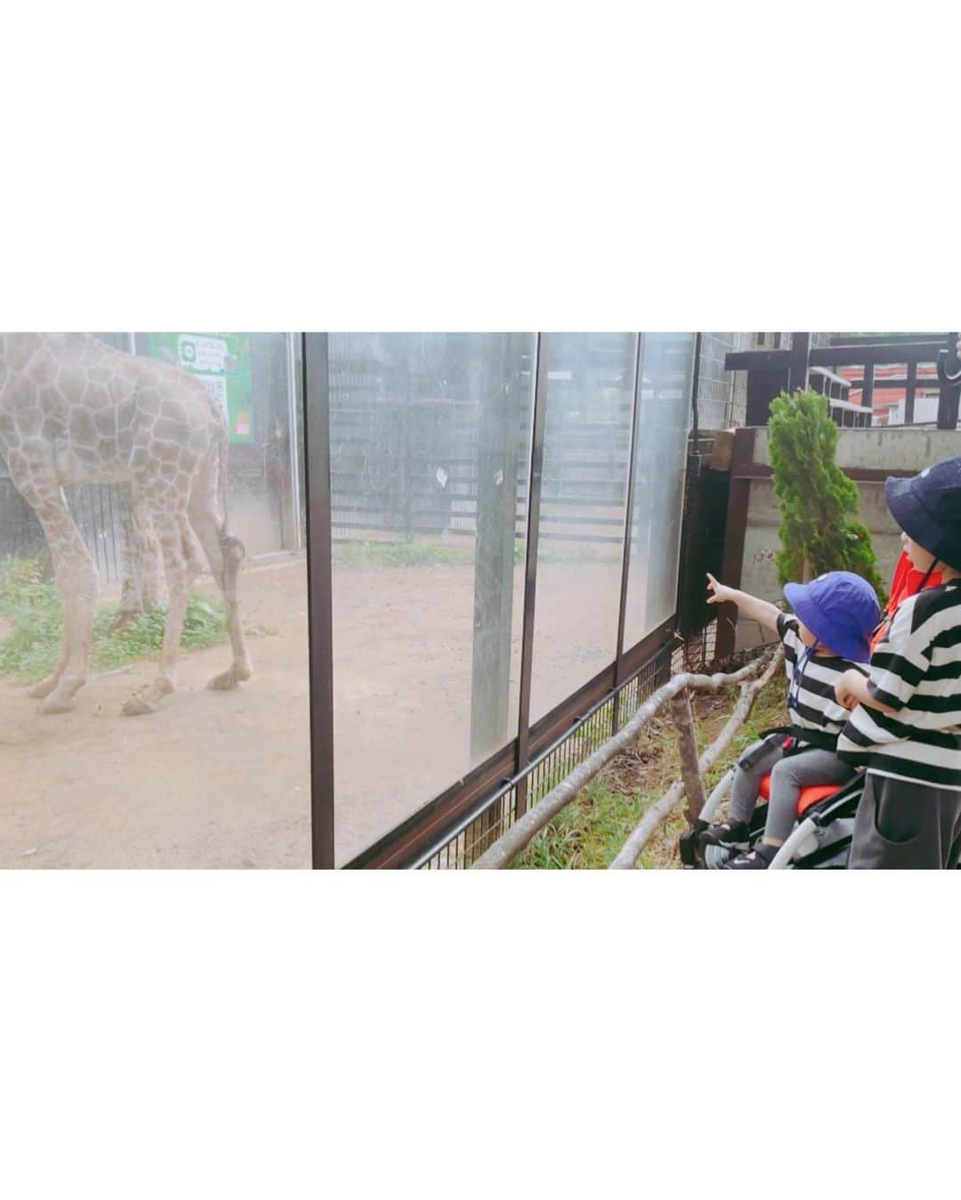 市川由衣さんのインスタグラム写真 - (市川由衣Instagram)「. はろー ⁡ 本日配信のIMAは先週に引き続き北海道のお話✈️ おすすめ動物園についてお喋りしてます🦉✨ ⁡ よかったらお耳を拝借〜👂✨✨✨ ⁡ この夏は一緒になって笑って楽しんで思い出の宝箱をいっぱいにしております🎁✨ ⁡ ⁡  @artistspoken_i.m.a #IMA #Podcast」8月12日 12時54分 - yui_ick