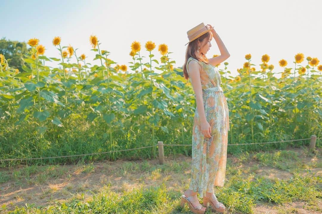 波多野結衣さんのインスタグラム写真 - (波多野結衣Instagram)「sunflower🌻 . . 📸(@hideto_photo ) . . #ヒマワリ #向日葵 #sunflower  #夏 #summer  #ポートレート #ポトレ #portrait  #波多野結衣 #波多野结衣」8月12日 20時59分 - hatachan524