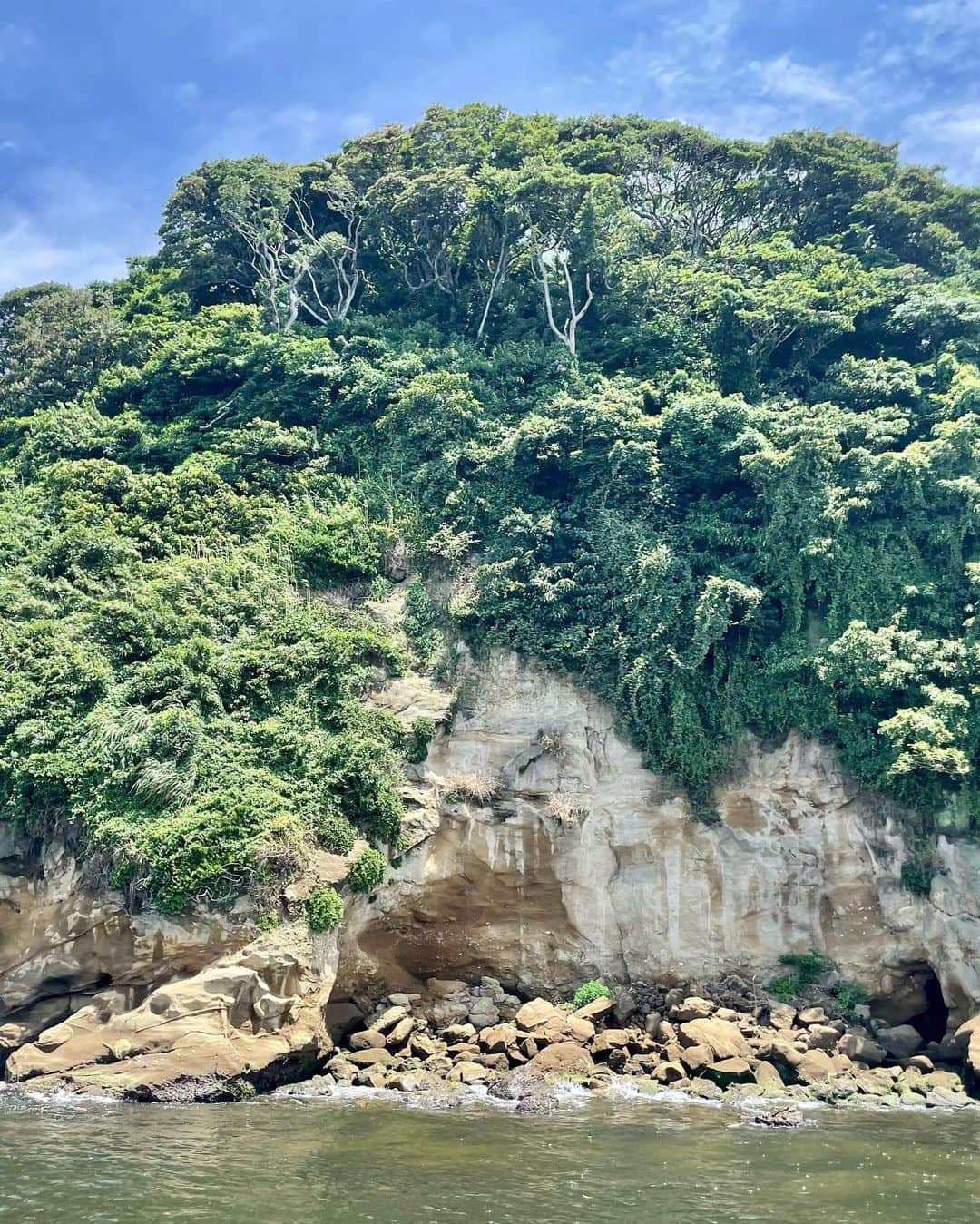 山田佳子さんのインスタグラム写真 - (山田佳子Instagram)「昨日、行ってみたかった猿島へ。 横須賀からわずか10分で行ける、東京湾に浮かぶ無人島😊💕 ⁡ #国史跡散策 #あちこち　 #森林あって #とっても #気持ちいい場所 #皆んなで #bbq #これは楽しい #無人島 #猿島 #コロナ禍の過ごし方  #夏休み🌻」8月12日 21時46分 - yoshiko117