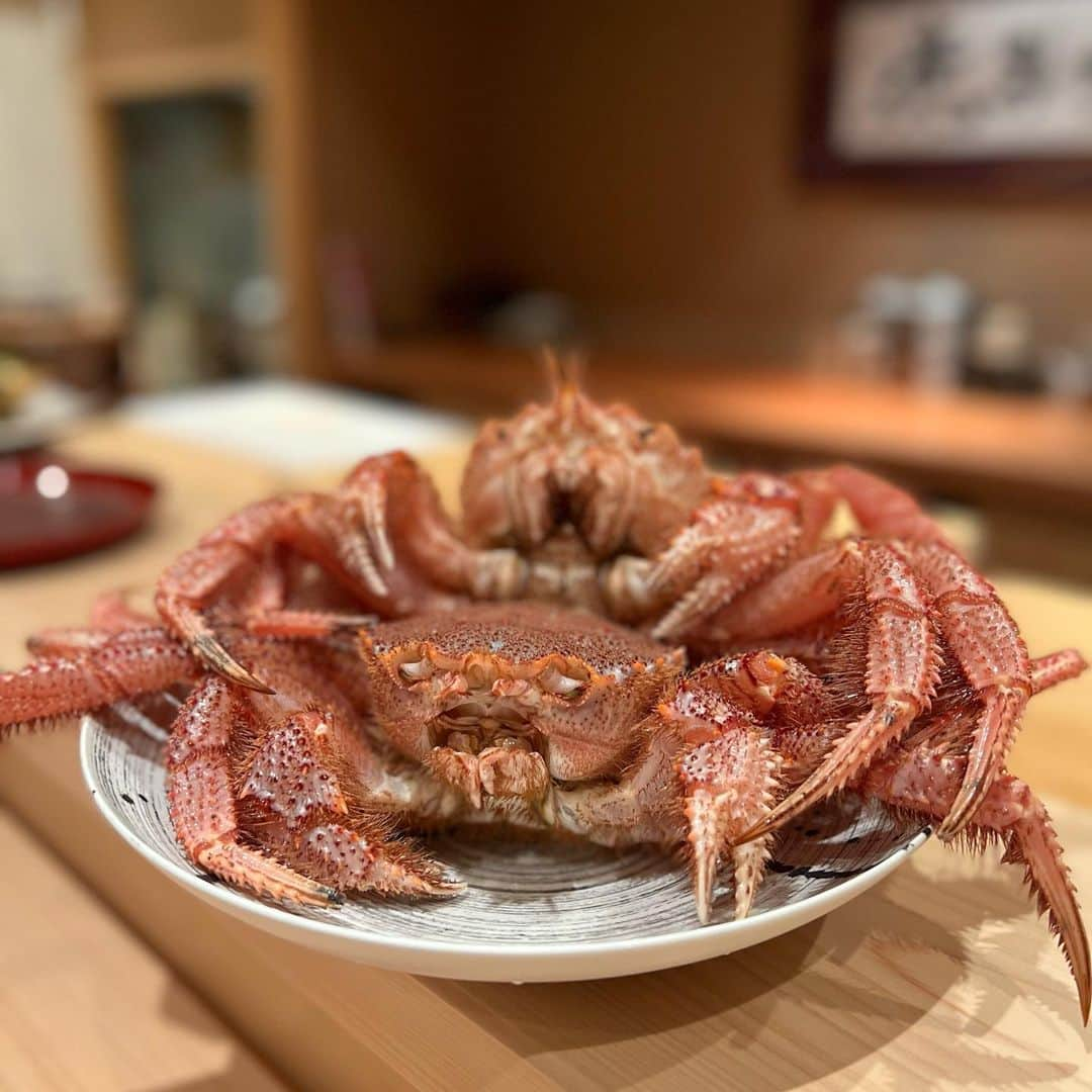 吉川ちえさんのインスタグラム写真 - (吉川ちえInstagram)「【🦀🐡🦀🐡🦀🐡】 . 先日かにとふぐのフルコース食べてきたよ🫶✨ ✅赤坂四季庵 よう悦 さんへ💕 ( @yoetsu_akasaka ) . 境港直送の新鮮な 蟹とふぐを堪能できました❤️ 今回２回目の訪問なんですが 今回は夏の食材を取り揃えていました🌽🍆✨ . 蟹しゃぶもふぐも鰻も全部美味しくて幸せでした🤤💕 〆の土鍋ご飯も感動的✨美味しいご飯と日本酒🍶飲んで楽しい時間を過ごせました💓 . 会員制なのですが LINE@に追加するだけで 誰でも予約できるみたいです😙✨  LINE@ ↓ https://lin.ee/EGIvyUB . 🦀赤坂四季庵よう悦🦀 📮東京都港区赤坂6-12-11 赤坂甲陽ビル 1F 🚃東京メトロ千代田線「赤坂駅」6番出口から徒歩5分 . #赤坂四季庵よう悦 #よう悦 #蟹 #かにしゃぶ #蟹しゃぶ」8月13日 1時46分 - yoshikawachie_16