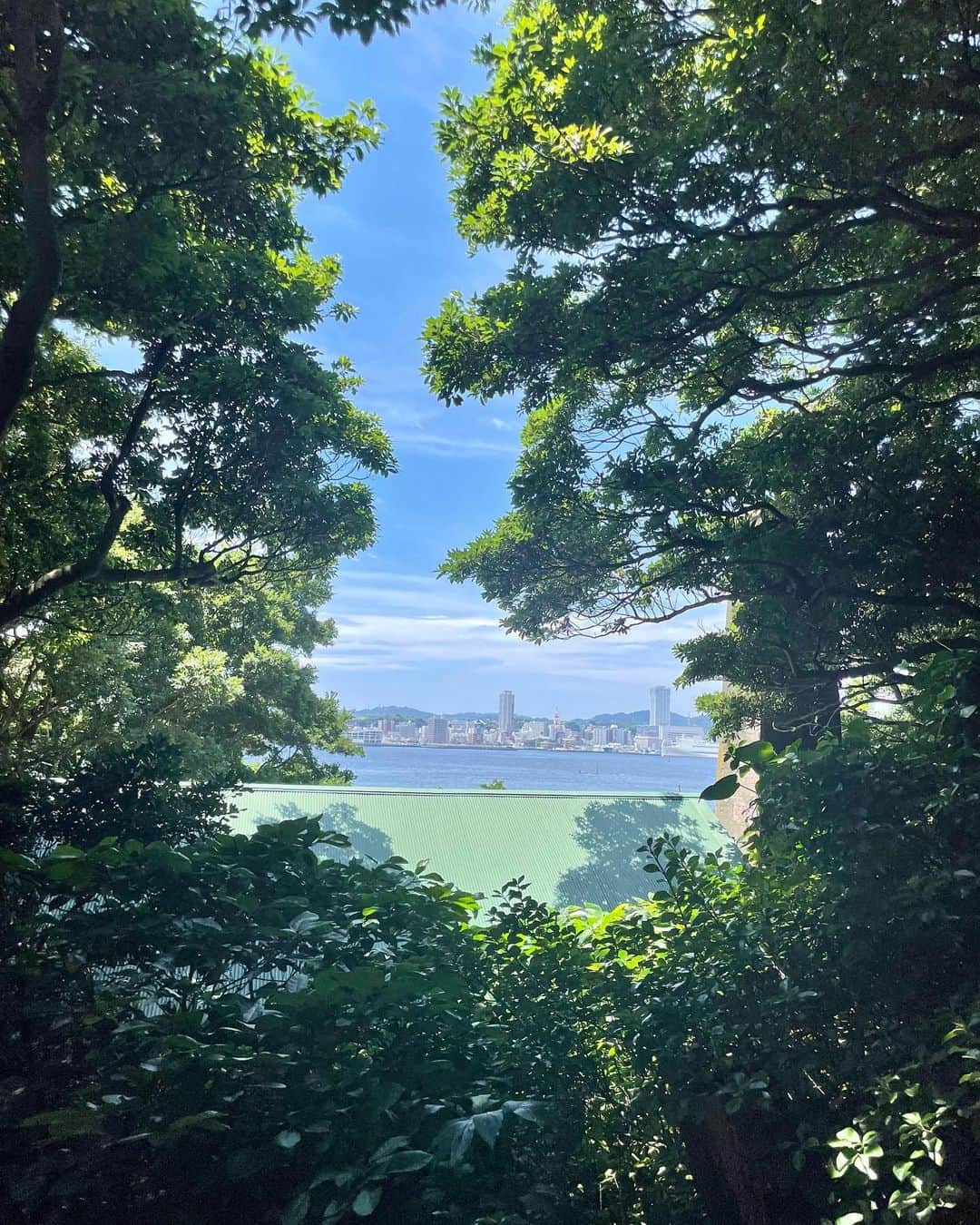 山田佳子さんのインスタグラム写真 - (山田佳子Instagram)「島を散策…♪途中、見晴らしの良い場所に座って、テイクアウトしたホットドッグをモグモグ🌭… ⁡ #国史跡散策 #タイムスリップ #レンガ造り #要塞 #ジャングルみたい #楽しかった #猿島」8月13日 7時42分 - yoshiko117
