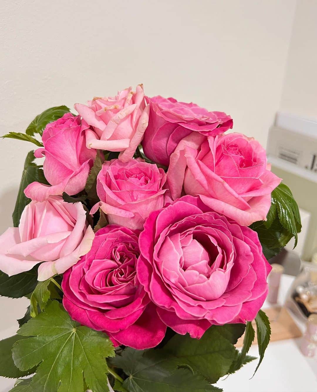 加藤里奈さんのインスタグラム写真 - (加藤里奈Instagram)「⋆  moafura のお花♡ とっても可愛い花束もあるので お友達やパートナーへのプレゼントにも最適です☺️  さらに、 @moafura_officialのアカウントフォロー＆コメントでお花がもらえるプレゼントキャンペーンをしているみたいです💐  いろいろな色のバラがあって とても可愛いよ🤍  #moafura  #モアフラ #お花の定期便 #お花のある暮らし #バラ花束 #バラ定期便 #バラサブスク #バラギフト」8月15日 20時17分 - katoco0326