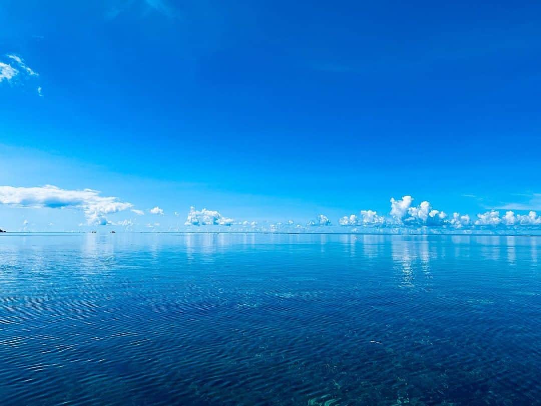 早乙女太一さんのインスタグラム写真 - (早乙女太一Instagram)「夏」8月16日 10時58分 - taichisaotome_official