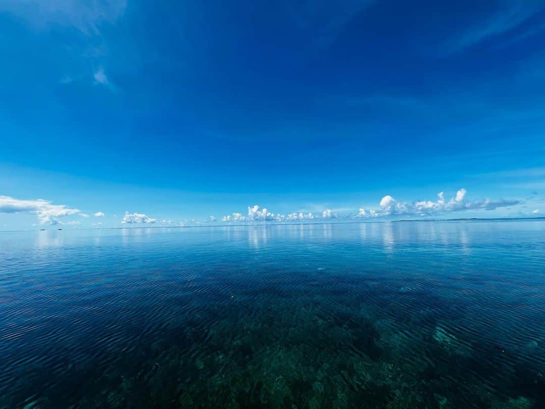 早乙女太一さんのインスタグラム写真 - (早乙女太一Instagram)「夏」8月16日 10時58分 - taichisaotome_official