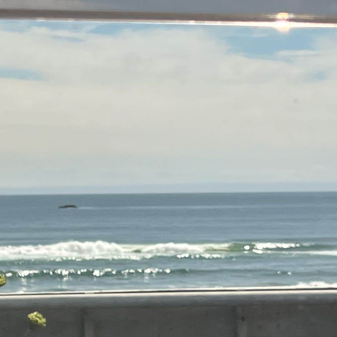 美香さんのインスタグラム写真 - (美香Instagram)「カレーラーメン🍜 #北海道 #室蘭グルメ  #カレーラーメン  地元の海。 高校生の時、毎日のように海に行きました。なつかしいな☺️」8月16日 13時46分 - mikaofficial99