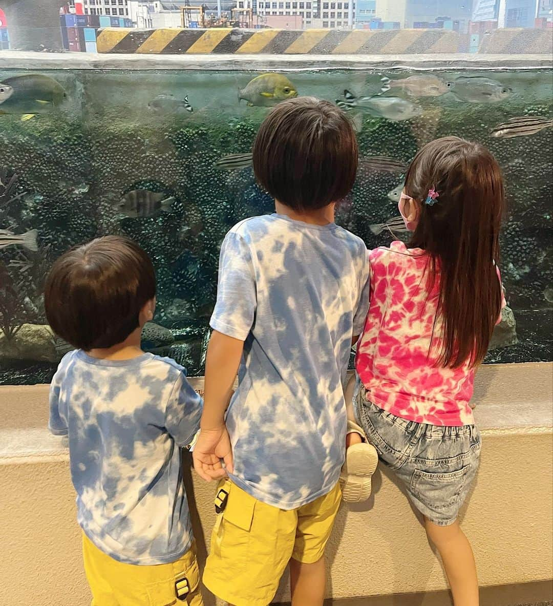 菊地あやかさんのインスタグラム写真 - (菊地あやかInstagram)「. 水族館🐠🫧🤍 釣りにはまってる3人だから 沢山いる魚に興味津々◡̈⋆ あの魚だよ！！と次々教えてくれる兄。 子供たちのおかげでお魚さんたちの 良さも分かって観てて楽しかった😗💖 途中であべちゃん達に会いたいって 電話してきてくれた甥っ子👦🏻👦🏻👶🏻 いつも電話してきてくれるの可愛い！！ おばちゃん嬉しいい！！！大好き！！！ (甥っ子たちが会いたがってるのは子供たち←) んで天気悪いのに途中からわざわざ会いに 来てくれて合流👦🏽👧🏽👦🏽👦🏻👦🏻👶🏻💖 ほんと君たち仲良すぎなのよ。ほっこり。 イルカショーも拍手しながら夢中に観てたの 可愛かったな…いとこ組の成長にも感動… これからも仲良しでいてね🫶🏻♡」8月16日 16時28分 - ayaka_official06