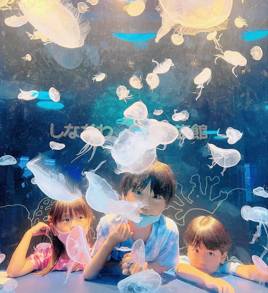 菊地あやかさんのインスタグラム写真 - (菊地あやかInstagram)「. 水族館🐠🫧🤍 釣りにはまってる3人だから 沢山いる魚に興味津々◡̈⋆ あの魚だよ！！と次々教えてくれる兄。 子供たちのおかげでお魚さんたちの 良さも分かって観てて楽しかった😗💖 途中であべちゃん達に会いたいって 電話してきてくれた甥っ子👦🏻👦🏻👶🏻 いつも電話してきてくれるの可愛い！！ おばちゃん嬉しいい！！！大好き！！！ (甥っ子たちが会いたがってるのは子供たち←) んで天気悪いのに途中からわざわざ会いに 来てくれて合流👦🏽👧🏽👦🏽👦🏻👦🏻👶🏻💖 ほんと君たち仲良すぎなのよ。ほっこり。 イルカショーも拍手しながら夢中に観てたの 可愛かったな…いとこ組の成長にも感動… これからも仲良しでいてね🫶🏻♡」8月16日 16時28分 - ayaka_official06