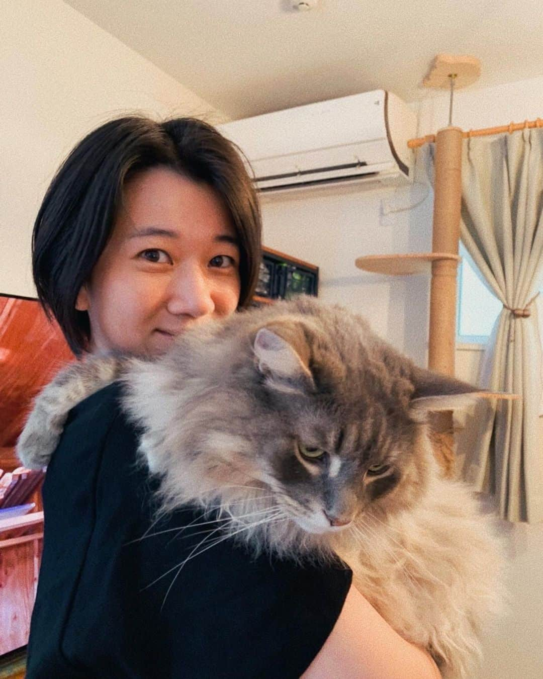 太田唯さんのインスタグラム写真 - (太田唯Instagram)「. もふもふ 🐈 🫧 わたしの癒され処•田中邸   . きのうは 釣りビジョンご覧頂いて ありがとうございました！ ルアー五目、お手軽だけど大物もくるロマンある釣りですねぇ。 ブリ釣りたかった！笑  見逃した方は再放送でぜひ ☺︎  #ねこ #田中邸  #奥さんのご飯がとにかく美味しい」8月16日 18時47分 - yuiohta.official