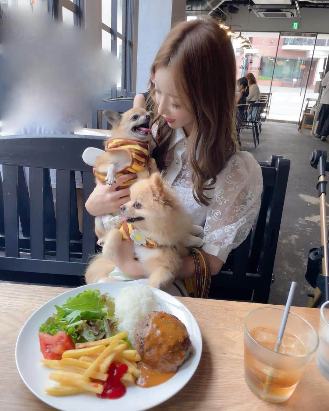 松山英礼奈さんのインスタグラム写真 - (松山英礼奈Instagram)「ティーたんしーたん連れて、 もえぴとうに天と ドッグカフェ行ってきた🐶❤️🍴  わんちゃん用のご飯とかケーキもあって、店内わんこだらけで皆んな優しくて幸せ空間だった🥹🐶🫰🏻💖  その後は公園ハシゴして、 直射日光当たる所はわんこ達カート入れて運んで🛒 人間達は滝汗でした🧖🏼‍♀️🌞♨️笑  楽しかった🥰♥️✨  今度はドッグランも行こうね🐕🐾❤️🌿  ティーたんお口空けてトトロみたい🤭💓ww  #愛犬 #ドッグカフェ #公園 #お散歩 #ポメチワ #ポメラニアン #ふわもこ部 #aneacafe  #白金」8月16日 20時53分 - hiiiiiiii0802