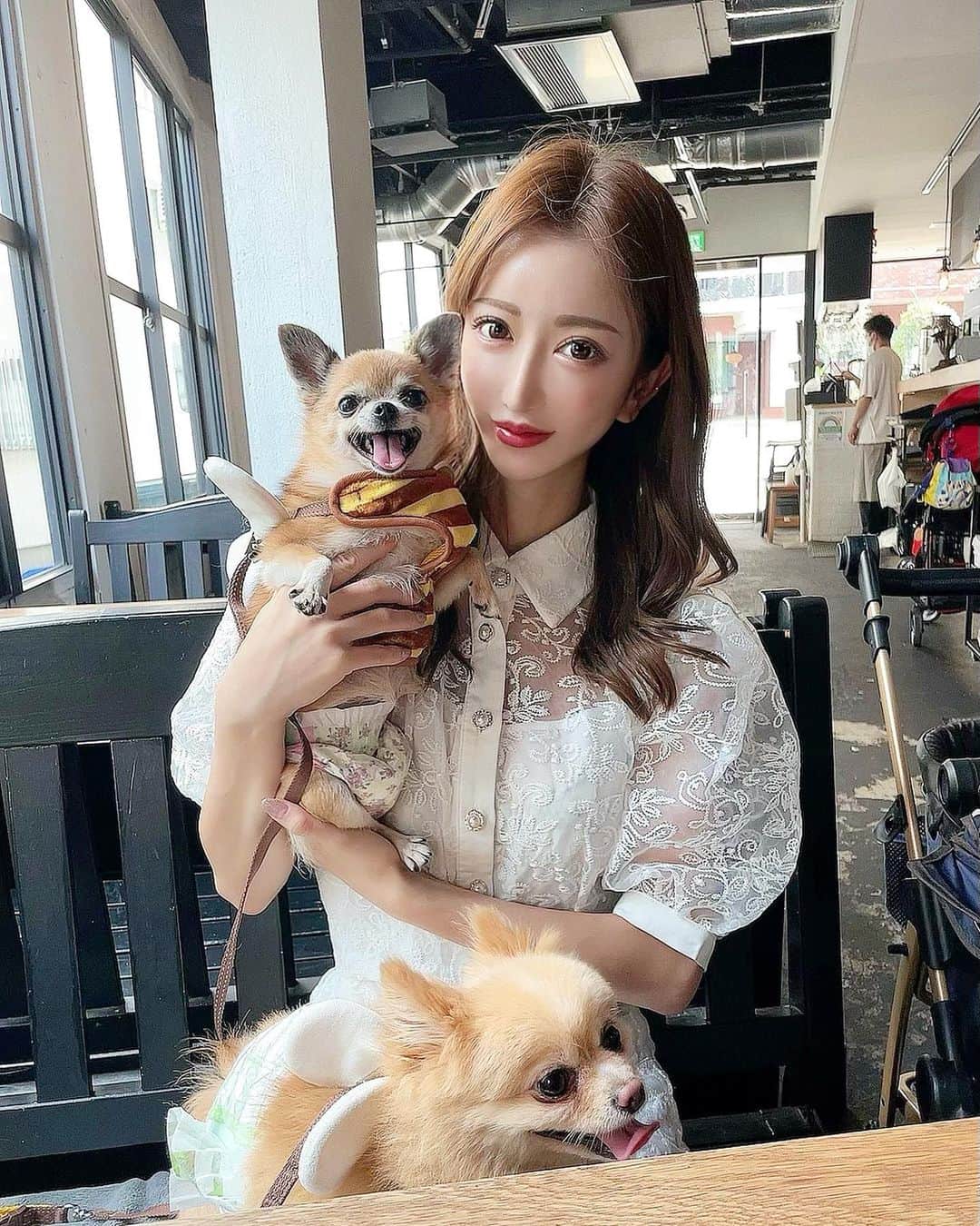 松山英礼奈さんのインスタグラム写真 - (松山英礼奈Instagram)「ティーたんしーたん連れて、 もえぴとうに天と ドッグカフェ行ってきた🐶❤️🍴  わんちゃん用のご飯とかケーキもあって、店内わんこだらけで皆んな優しくて幸せ空間だった🥹🐶🫰🏻💖  その後は公園ハシゴして、 直射日光当たる所はわんこ達カート入れて運んで🛒 人間達は滝汗でした🧖🏼‍♀️🌞♨️笑  楽しかった🥰♥️✨  今度はドッグランも行こうね🐕🐾❤️🌿  ティーたんお口空けてトトロみたい🤭💓ww  #愛犬 #ドッグカフェ #公園 #お散歩 #ポメチワ #ポメラニアン #ふわもこ部 #aneacafe  #白金」8月16日 20時53分 - hiiiiiiii0802