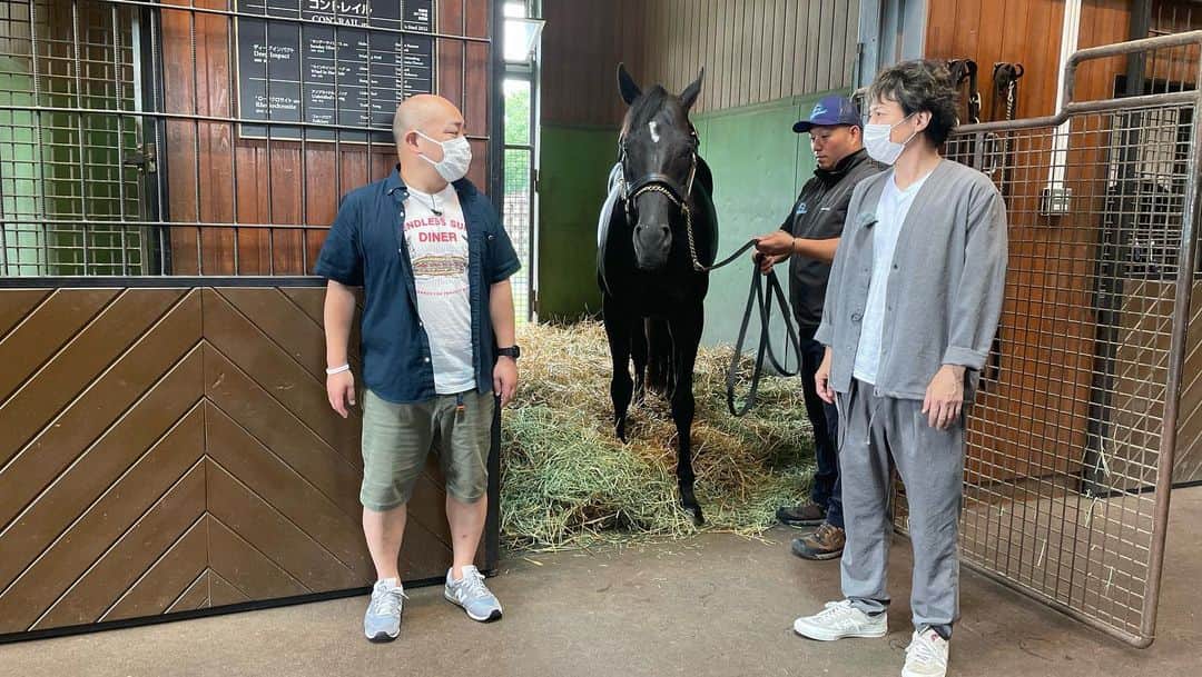 こいでさんのインスタグラム写真 - (こいでInstagram)「#名馬達 #うまんちゅ  #YouTubeで溢れ話します☺️ #どの馬かわかりますか？」8月16日 22時48分 - shampoohatkoide