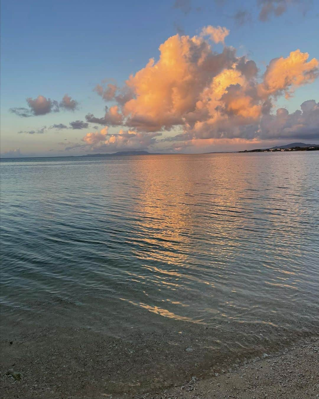 島袋聖南さんのインスタグラム写真 - (島袋聖南Instagram)「ぴよと夏休み🌴🤎」8月17日 9時49分 - seina4444