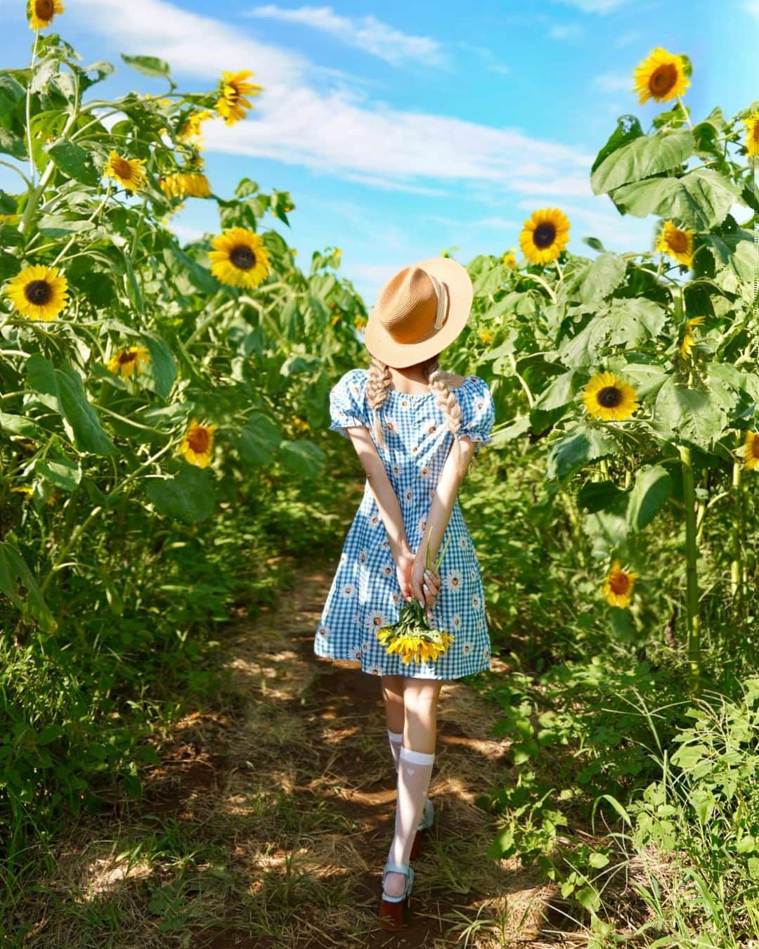 くまくまくまさんのインスタグラム写真 - (くまくまくまInstagram)「・ 台風後の快晴☀️   ひまわりガーデンの開園最終日に急いで撮ってきたん🌻💛  だいぶ枯れてるけど、写真の雰囲気は悪くないよね~📸✨  #夏コーデ#夏服コーデ#ootdshare#お出かけスポット#お出かけコーデ#インスタ映え#映えスポット#ファンタジー#幻想的#メルヘン#一眼レフのある生活#ミラーレスのある生活#カメラ越しの私の世界#田園風景#ひまわり#ひまわり畑#ひまわりイエロー#ひまわりガーデン武蔵村山#ひまわり畑コーデ#東京観光#台風後」8月17日 11時36分 - dango_kuma