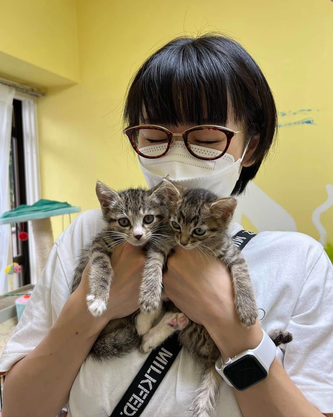 時東ぁみさんのインスタグラム写真 - (時東ぁみInstagram)「夢の国へ♡ ・ 犬猫の保護活動を個人でされているシェルター @rescue_dog_cat さんへお邪魔させていただきました🐶🐱 綺麗だし、一匹一匹にとても愛を感じるお世話をされてました！ ・ ただ遊びに行ったわけではなく、8/21の日曜日に開催する『幸せ家族チャリティー撮影会』の寄付先として、きちんと見てから決めようと思って見学をさせていただいたの！ ・ 撮影会の枠があと3枠空いてるので、ペットを飼われてる方ぜひご参加お願いします！！！ DM待ってます→@shiawase_family  ・ #時東ぁみ #夢の国 #幸せ家族チャリティー撮影会 #幸せ家族写真 #撮影会 #夏休み #幸せ家族 #家族写真 #幸せ家族チャリティー #撮影 #ペット撮影 #撮らせてください #チャリティー #動物チャリティー #保護犬 #保護猫 #ペット #ペットモデル #dm #dm予約 #🐶 #🐱 #いぬすたぐらむ #ねこすたぐらむ」8月18日 17時54分 - amitokito