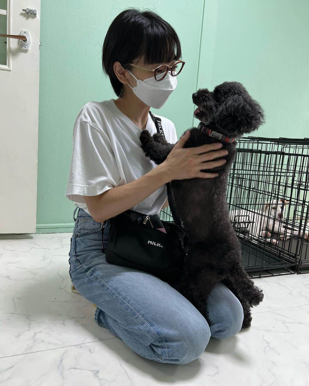 時東ぁみさんのインスタグラム写真 - (時東ぁみInstagram)「夢の国へ♡ ・ 犬猫の保護活動を個人でされているシェルター @rescue_dog_cat さんへお邪魔させていただきました🐶🐱 綺麗だし、一匹一匹にとても愛を感じるお世話をされてました！ ・ ただ遊びに行ったわけではなく、8/21の日曜日に開催する『幸せ家族チャリティー撮影会』の寄付先として、きちんと見てから決めようと思って見学をさせていただいたの！ ・ 撮影会の枠があと3枠空いてるので、ペットを飼われてる方ぜひご参加お願いします！！！ DM待ってます→@shiawase_family  ・ #時東ぁみ #夢の国 #幸せ家族チャリティー撮影会 #幸せ家族写真 #撮影会 #夏休み #幸せ家族 #家族写真 #幸せ家族チャリティー #撮影 #ペット撮影 #撮らせてください #チャリティー #動物チャリティー #保護犬 #保護猫 #ペット #ペットモデル #dm #dm予約 #🐶 #🐱 #いぬすたぐらむ #ねこすたぐらむ」8月18日 17時54分 - amitokito