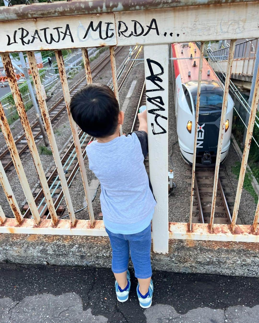 藤田志穂さんのインスタグラム写真 - (藤田志穂Instagram)「息子は電車が大好きだけど、私は電車を見てる息子の姿が大好きだ😌💙🫶 ・ 絶対に、電車が通る線路の真上から見るところも😂👏 ・ 最後の、警笛を鳴らしてもらう為に一生懸命「おーい！」と叫びながら手を振る姿がお気に入り🤗（親バカ万歳） ・ やっぱり 成田エクスプレスの警笛音って他の電車と違ってカッコいいよね👍 ・ いつまでこんな風に見ているのかなー？🚃 ・ #子鉄 #子鉄スポット #子鉄の母ちゃん #成田エクスプレス #nex #警笛 #鳴らしてもらえないと #落ち込んでる 😂」8月19日 10時47分 - shiho_fujita44