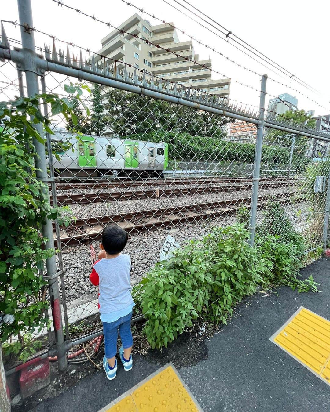 藤田志穂さんのインスタグラム写真 - (藤田志穂Instagram)「息子は電車が大好きだけど、私は電車を見てる息子の姿が大好きだ😌💙🫶 ・ 絶対に、電車が通る線路の真上から見るところも😂👏 ・ 最後の、警笛を鳴らしてもらう為に一生懸命「おーい！」と叫びながら手を振る姿がお気に入り🤗（親バカ万歳） ・ やっぱり 成田エクスプレスの警笛音って他の電車と違ってカッコいいよね👍 ・ いつまでこんな風に見ているのかなー？🚃 ・ #子鉄 #子鉄スポット #子鉄の母ちゃん #成田エクスプレス #nex #警笛 #鳴らしてもらえないと #落ち込んでる 😂」8月19日 10時47分 - shiho_fujita44