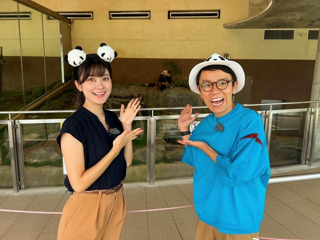 朝日放送「おはよう朝日土曜日です」さんのインスタグラム写真 - (朝日放送「おはよう朝日土曜日です」Instagram)「土日どーする？はアドベンチャーワールド🏖 🐼🐘🦒🐬🐧が出てきます♪  #白浜#アドベンチャーワールド#パンダ #白良浜#とれとれ市場#白浜プリン #和歌山スイーツ#関西おでかけ  #おは土#おはよう朝日土曜日です#ABCテレビ #増田紗織#ABCアナウンサー #女と男#市川」8月19日 16時54分 - ohado6ch