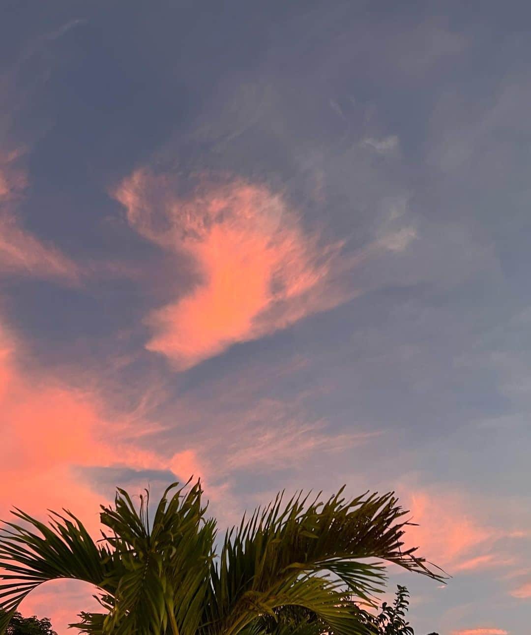 島袋聖南さんのインスタグラム写真 - (島袋聖南Instagram)「当たり前の様に日々を過ごせて感謝。 平和が守られますように😌🕊」8月20日 16時05分 - seina4444