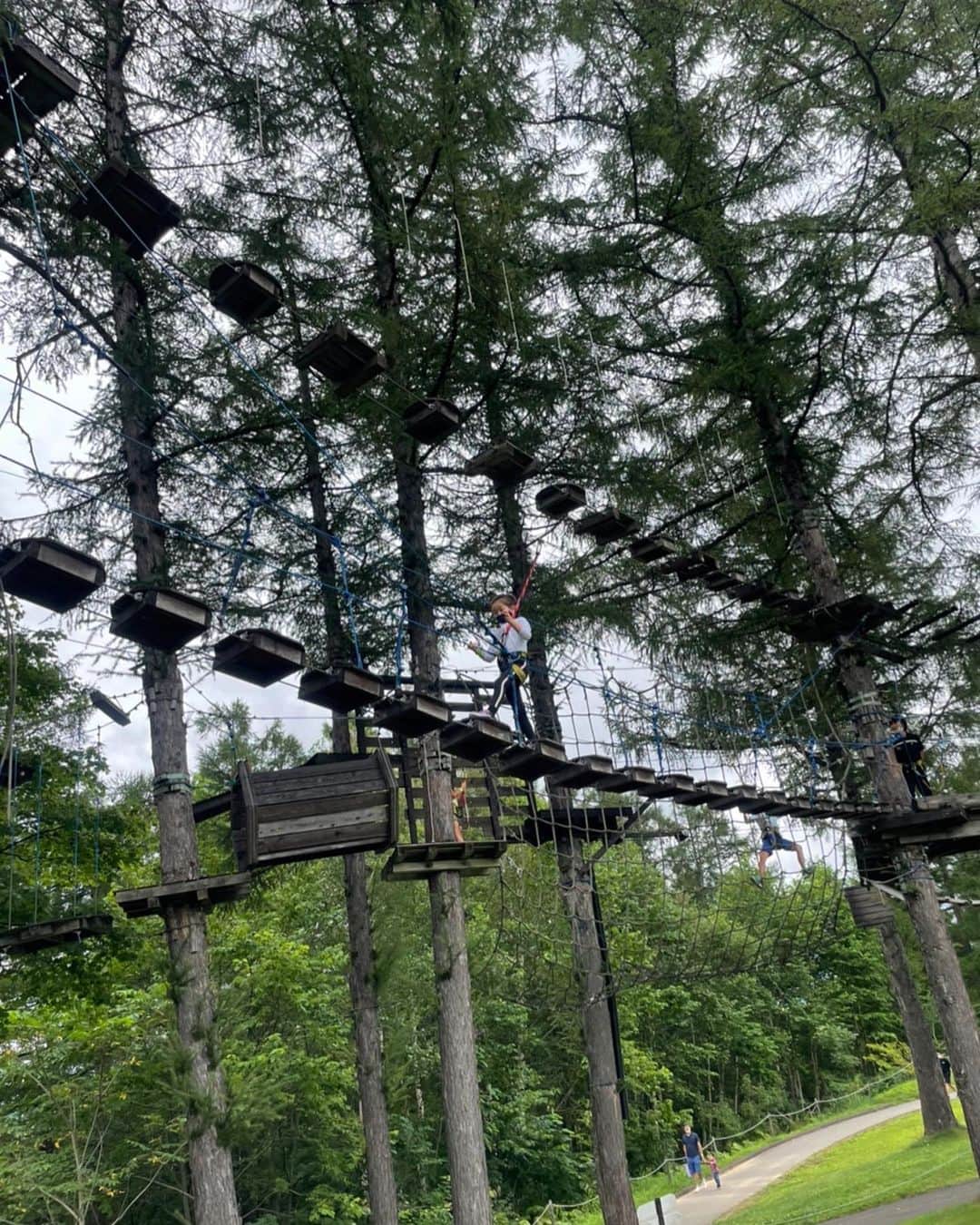 中岡由佳さんのインスタグラム写真 - (中岡由佳Instagram)「ニセコビレッジの自然体験ピュア。ワイヤーで吊り下げられたレールを滑車で滑り降りるアトラクション、レールスライダーが空中散歩のようでめちゃくちゃ楽しい！！10mの高さからのジャンプも飛ぶ瞬間のスリルがたまらない。 #nisekovillage  #pure #hokkaido」8月20日 16時53分 - yuka_nakaoka