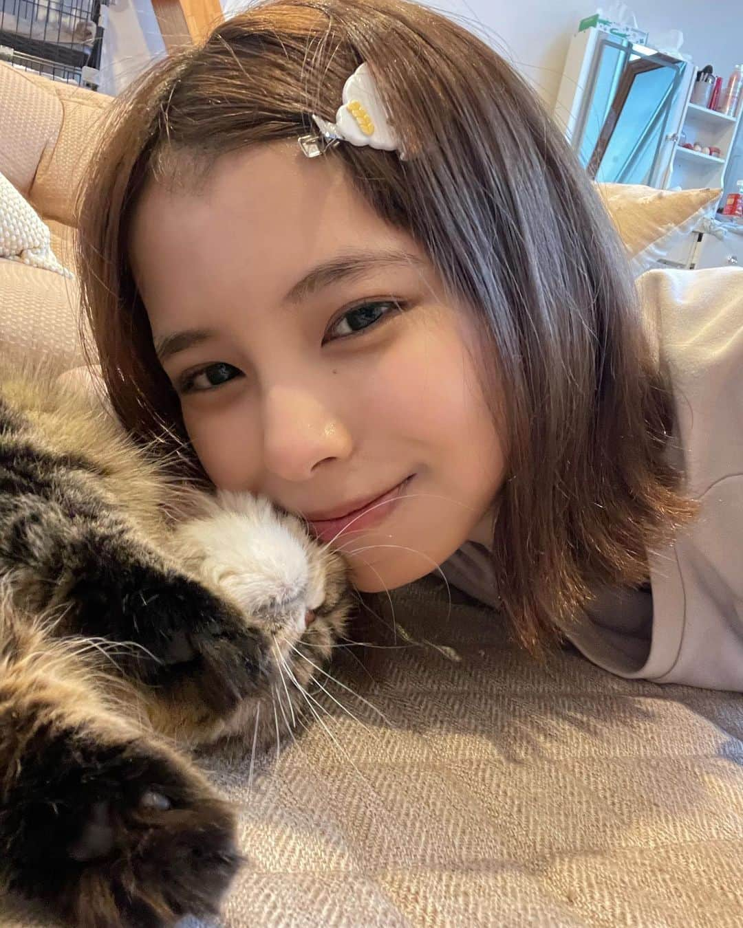 宮崎あみささんのインスタグラム写真 - (宮崎あみさInstagram)「猫さん🐱 ・ 載せる写真がないので愛猫とのツーショットをどうぞ📸 ・ 猫派の皆さん仲良くしてください。 ・ 換毛期の時期は掃除機をかけてもかけても毛がそこら中に落ちてます。 ・ 肉球の間の毛伸びたな…切ってあげないと ・ #ねこすきさんと繋がりたい」8月20日 18時07分 - miyazaki_aa