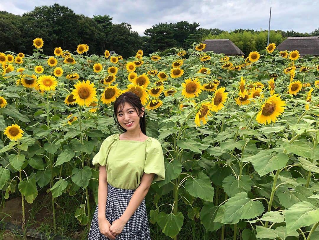 白戸ゆめのさんのインスタグラム写真 - (白戸ゆめのInstagram)「💚 . また告知し忘れた😭 19日のテレビ東京「よじごじDays」にて 国営ひたち海浜公園の夏の植物を紹介しました🪴 . 春にはネモフィラ・菜の花🦋 夏にはもふもふコキア・ジニア・ひまわり🌻 . 季節に合わせて いろんなお花を楽しめます☺️ 秋の紅葉したコキアも楽しみだなあ✨」8月20日 23時17分 - yumeno.s_