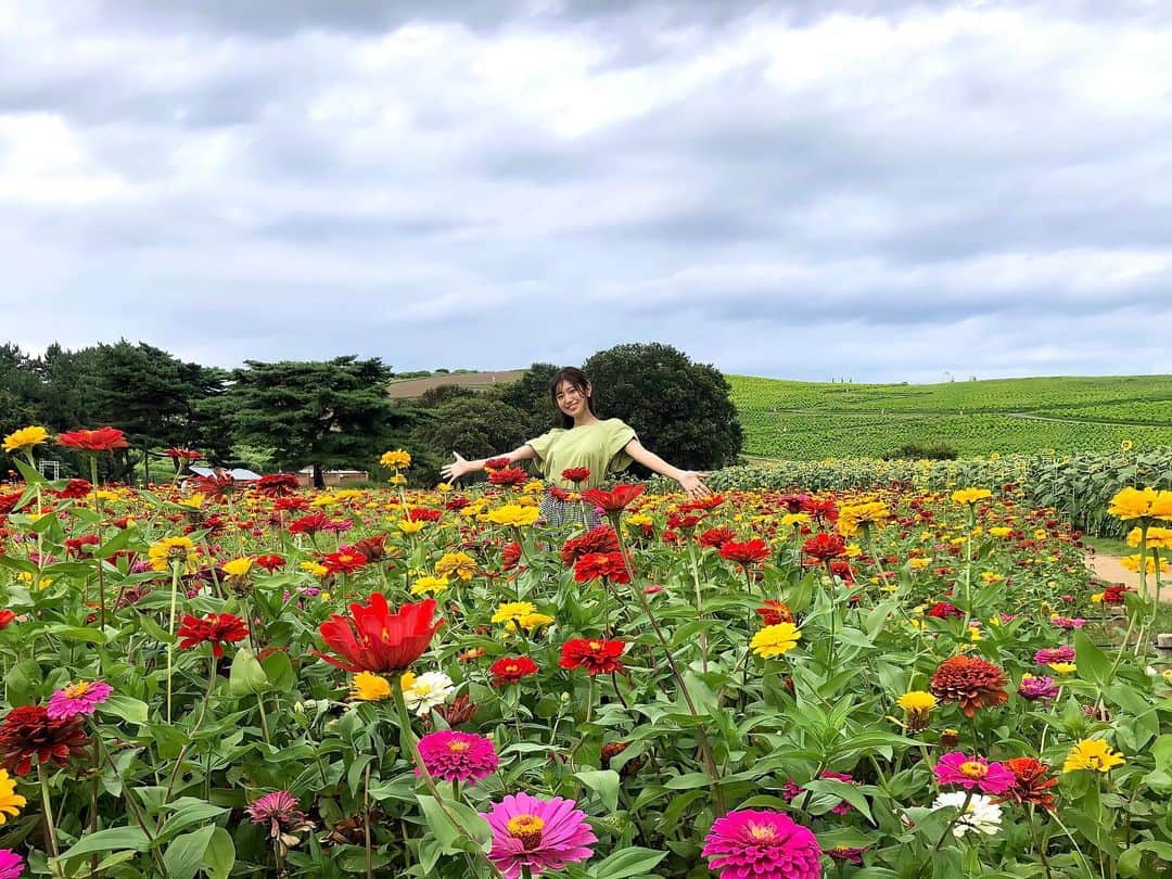 白戸ゆめのさんのインスタグラム写真 - (白戸ゆめのInstagram)「💚 . また告知し忘れた😭 19日のテレビ東京「よじごじDays」にて 国営ひたち海浜公園の夏の植物を紹介しました🪴 . 春にはネモフィラ・菜の花🦋 夏にはもふもふコキア・ジニア・ひまわり🌻 . 季節に合わせて いろんなお花を楽しめます☺️ 秋の紅葉したコキアも楽しみだなあ✨」8月20日 23時17分 - yumeno.s_