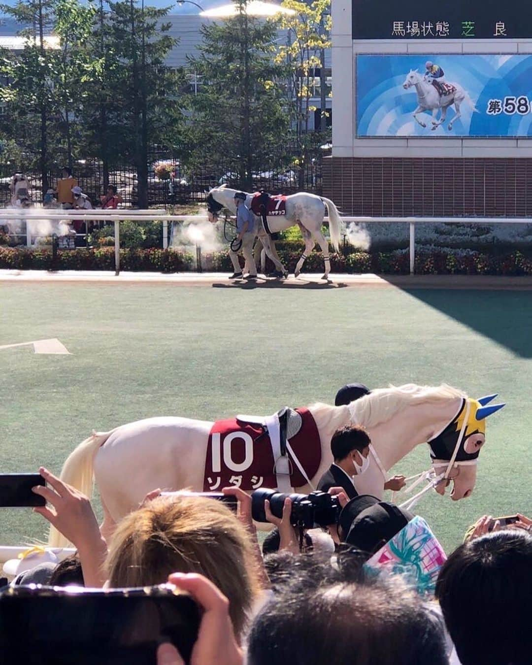 横山ルリカさんのインスタグラム写真 - (横山ルリカInstagram)「. 札幌記念は、藤岡佑介騎手騎乗のジャックドール が秋のG１に向けて素晴らしいＶ👏🎉  🎯的中は、ゲストのアンカツさんと橋本さん✨🤓  応援していた◎ソダシは、強い先行馬が揃う中、果敢な走りで5着🌟 4角を回ってきた時には、一瞬いけるかも⁉️とドキドキした〜😆🤍  パドックでの白毛馬２頭の奇跡のツーショットは、福原さん📸撮影✨お宝だ〜🥰  #札幌記念 #ジャックドール #藤岡佑介 騎手 #おめでとうございます  #ソダシ #ハヤヤッコ #白毛馬 #奇跡の競演 🦄🦄 #福原さんありがとうございます📸  #札幌競馬場 #KEIBAプレミア #アンカツ さん #ジャックドールからお見事🎯  👗🌷 #31sonsdemode」8月21日 20時45分 - rurika_yokoyama_official