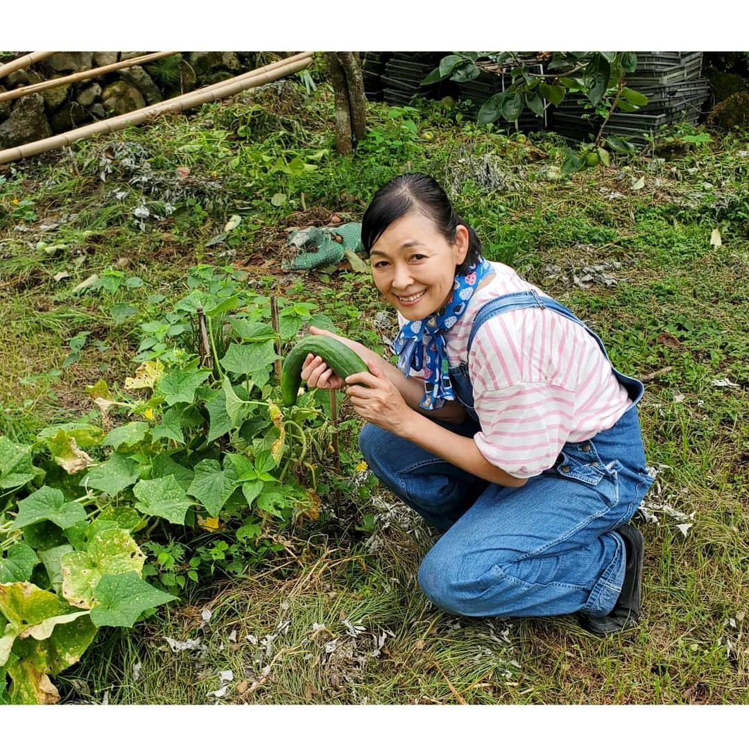 財前直見さんのインスタグラム写真 - (財前直見Instagram)「🍙 まだまだ暑いですね…🥵 ゴーヤにきゅうりにピーマン ちょっと早くに落ちてしまっていたキウイも😊 🍙 #ゴーヤ #きゅうり #ピーマン #キウイ #直見工房 #財前直見 #🍙」8月21日 21時33分 - naomi_zaizen_official