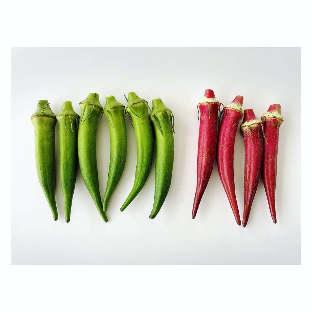 望月理恵さんのインスタグラム写真 - (望月理恵Instagram)「毎月注文している エビベジさんのお野菜  毎回何が入っているか 楽しみです❣️ 赤いオクラは茹でると緑になります。見てると今にもオクラが動き出しそうで、可愛くて撮りました。どうでもいい話です。  #エビベジ#野菜 #オクラ#宅配 #今すぐオクラを茹で、納豆と混ぜ合わせ、 ご飯をかきこみたい衝動」8月22日 12時04分 - mochiee28