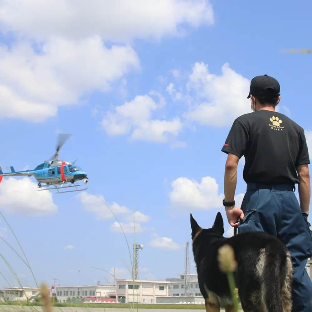 大阪府警察さんのインスタグラム写真 - (大阪府警察Instagram)「【大災害に備える】 全国各地で発生が予測される大災害に備えて、警備犬のヘリコプター習熟訓練を行いました。 ヘリコプターの高機動性と警備犬の被災者探索能力を活かして、迅速に人命救助を担います。  #大阪府警察公式 #大阪府警察 #大阪府警 #府警 #警察 #警察官 #おまわりさん #航空隊 #ヘリコプター #有事即応 #大規模災害に備える #人命救助 #連携 #強化 #警備犬 #警察犬 #府民を守る」8月22日 16時24分 - fukei_koho