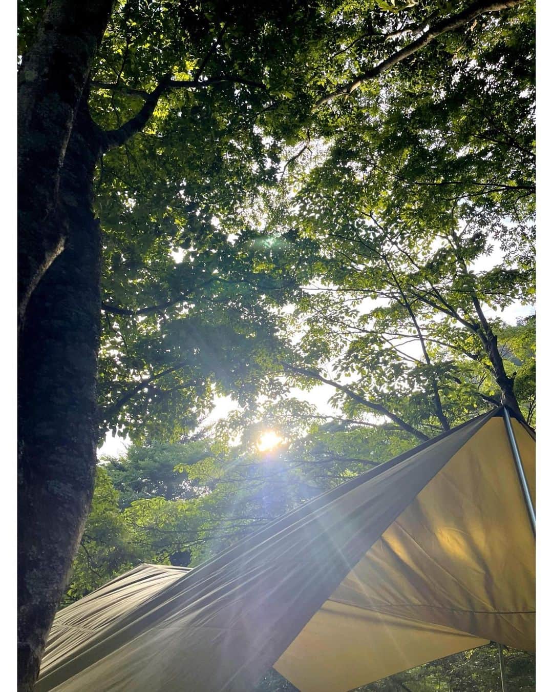 佐々木希さんのインスタグラム写真 - (佐々木希Instagram)「#summervacation いつものキャンプ🏕 沢山動いて、沢山遊び、沢山食べ、沢山笑い🌈 最高の思い出💫 キャンプは、何度しても飽きない！ 季節によって楽しみ方も違うし、何より自然の中にいると心も身体もリフレッシュ🌱  沢山楽しんだ後は、しっかり最後までclean up🧹✨」8月22日 20時32分 - nozomisasaki_official