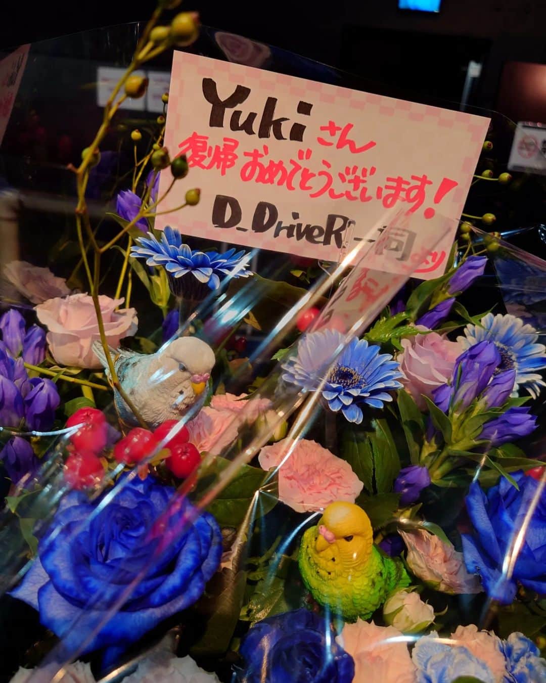 Yukiさんのインスタグラム写真 - (YukiInstagram)「名古屋ell.SIZEへ昨日ご来場ありがとうございました！  無事に復帰できて嬉しいです！ 本当に皆様ありがとうございました。  大阪も名古屋もこんなに素敵なお花をありがとうございます！ 家に飾らせてもらいますね😌  Thank you for the beautiful flowers💐  #flowers」8月22日 21時40分 - d_drive_gt_yuki